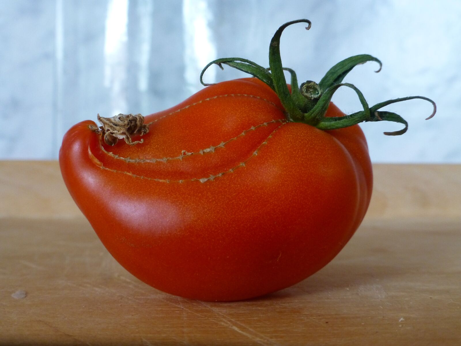 Panasonic DMC-TZ31 sample photo. Tomato, solanum lycopersium, strange photography