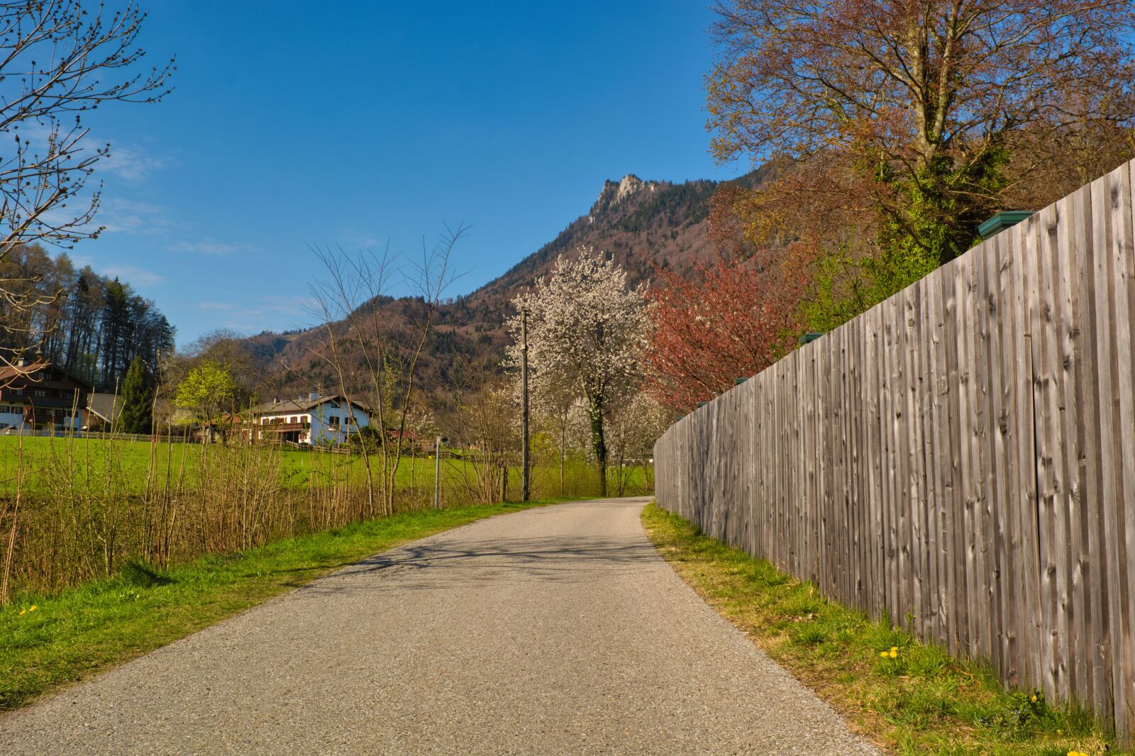 Nikon D7100 sample photo. Spring, away, path photography