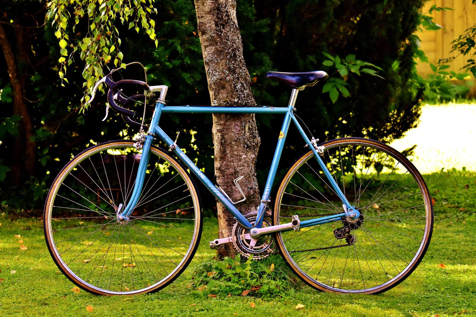 Nikon D7200 sample photo. Bicycles, cycle, bike photography