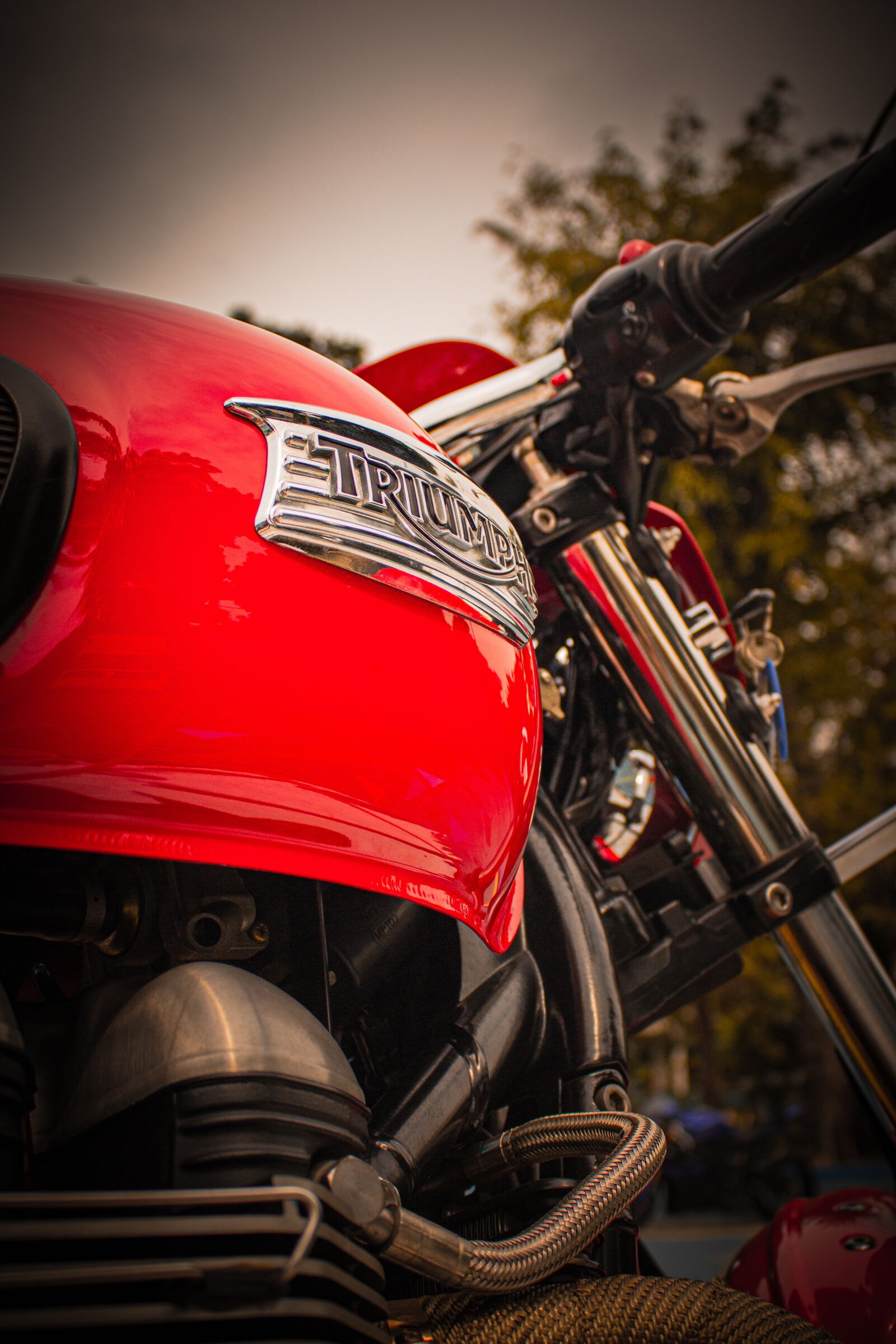 Canon EOS 60D sample photo. Triumph, motor, motorcycle photography