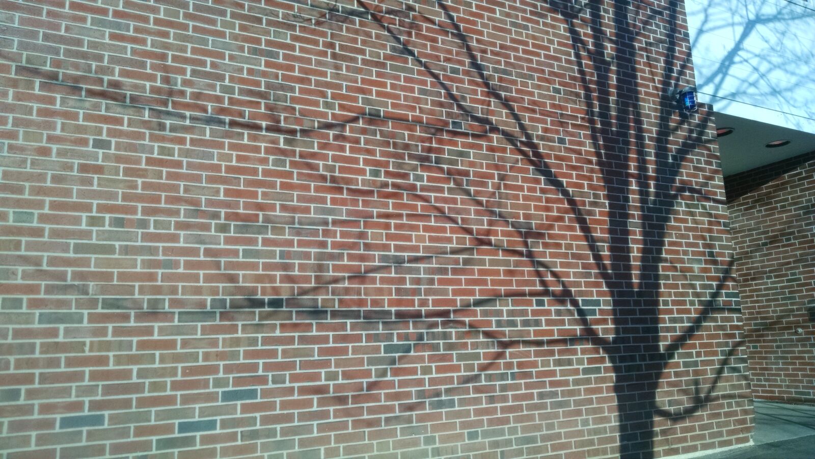 Motorola Moto X (1st Gen) sample photo. Brick, shadow, tree photography