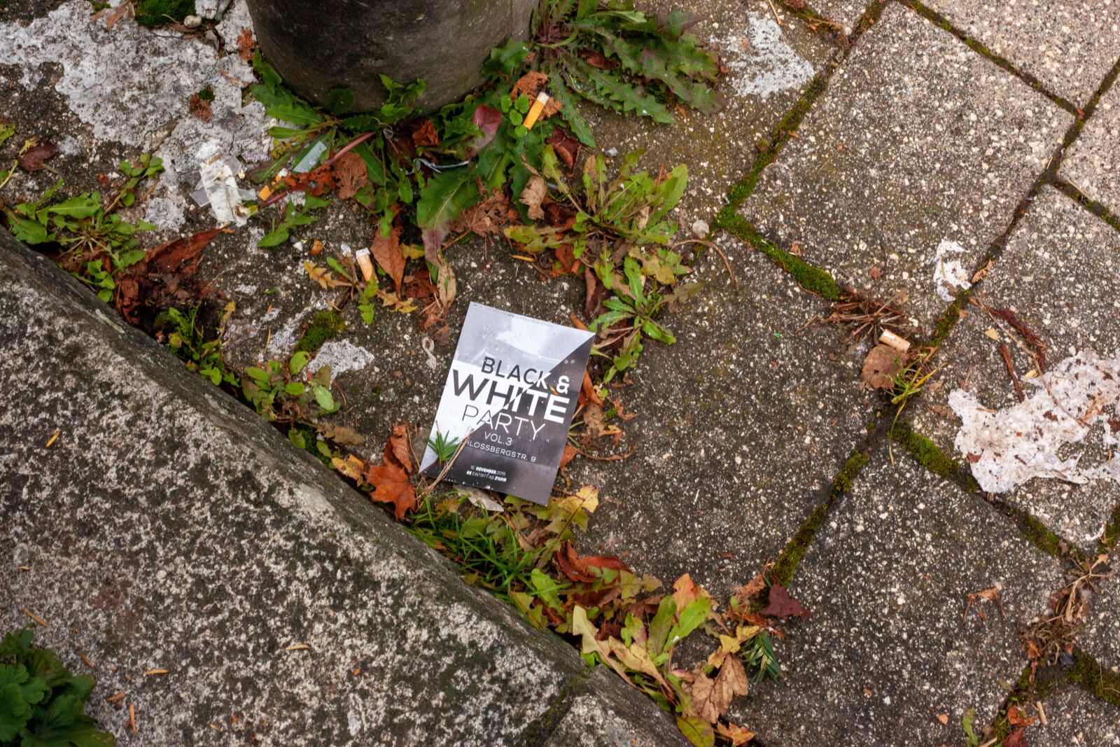Canon EF 50mm F1.8 II sample photo. Street, flyers, pollution photography