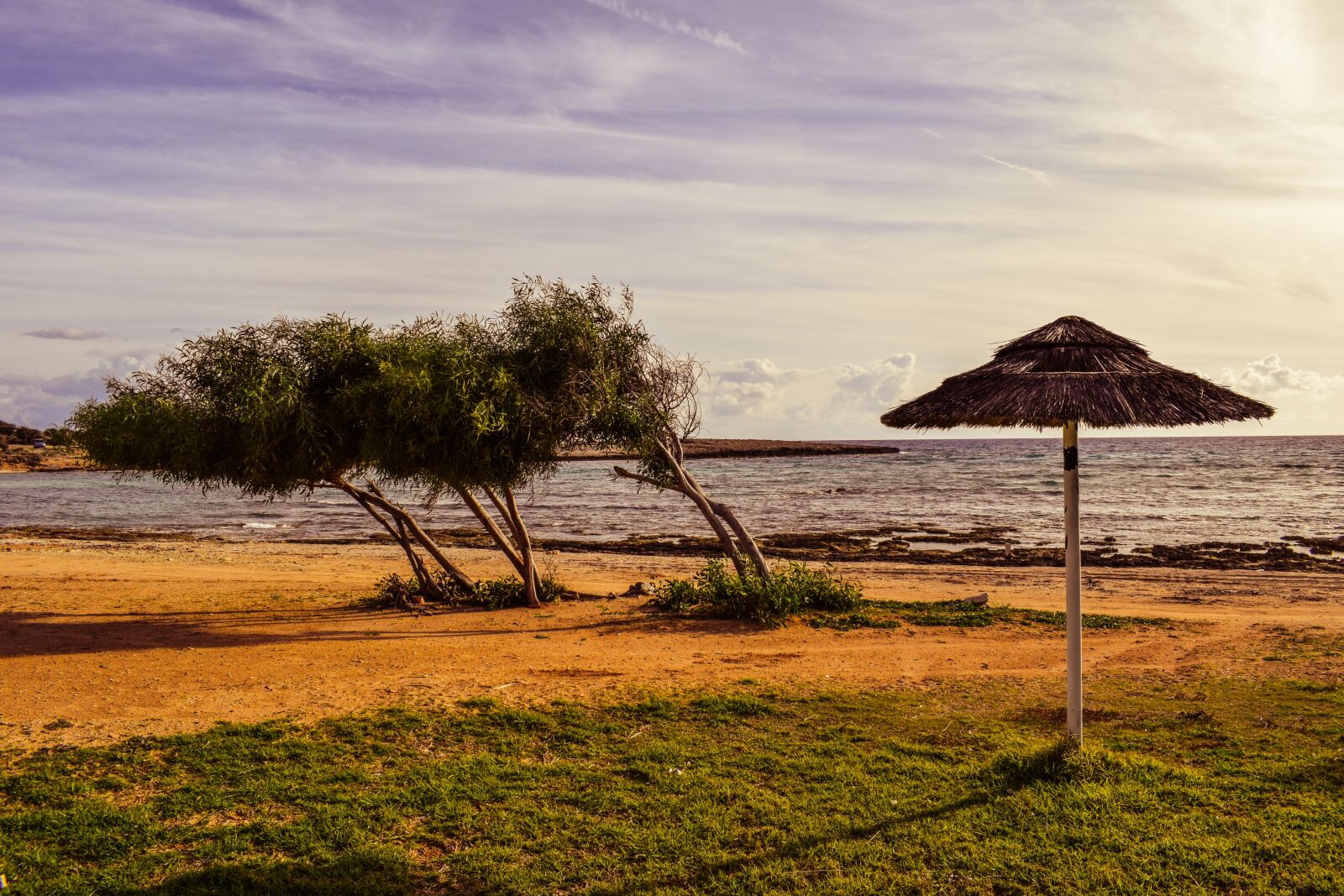 Nikon D3300 sample photo. Beach, trees, umbrella photography