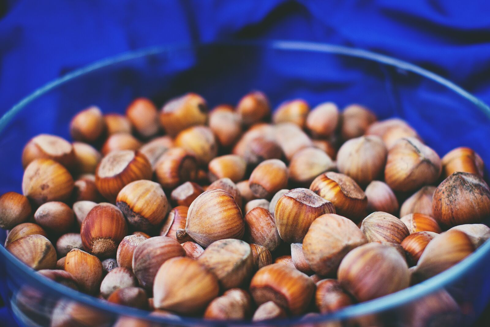 Canon EOS 60D sample photo. Nature, autumn, bowl photography