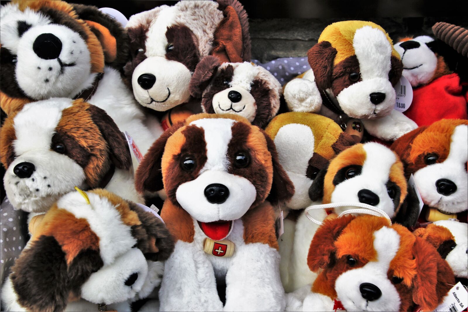 Canon EOS 80D sample photo. Plush, bears, animals photography