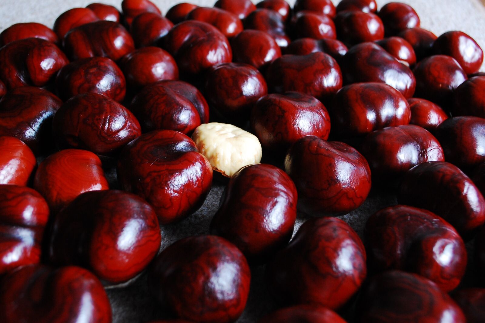 Nikon D40 sample photo. Chestnut, nuts, still life photography