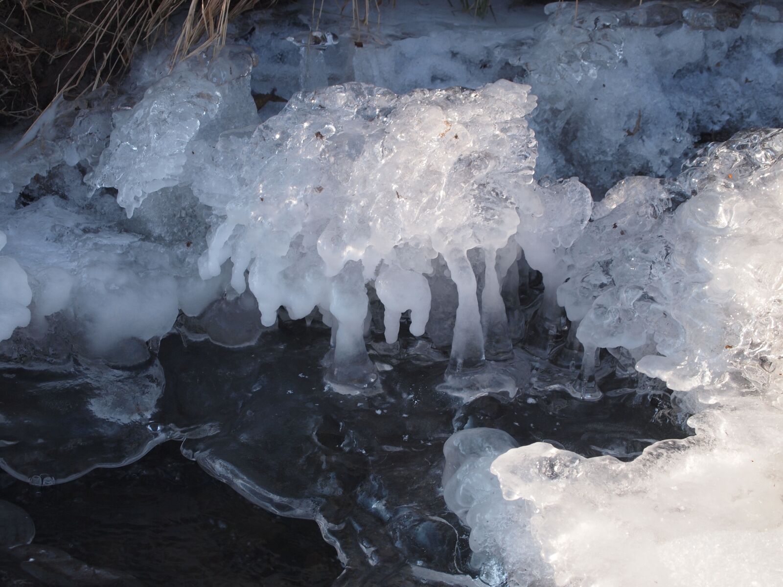 Olympus PEN E-P1 sample photo. Ice, frozen, winter photography