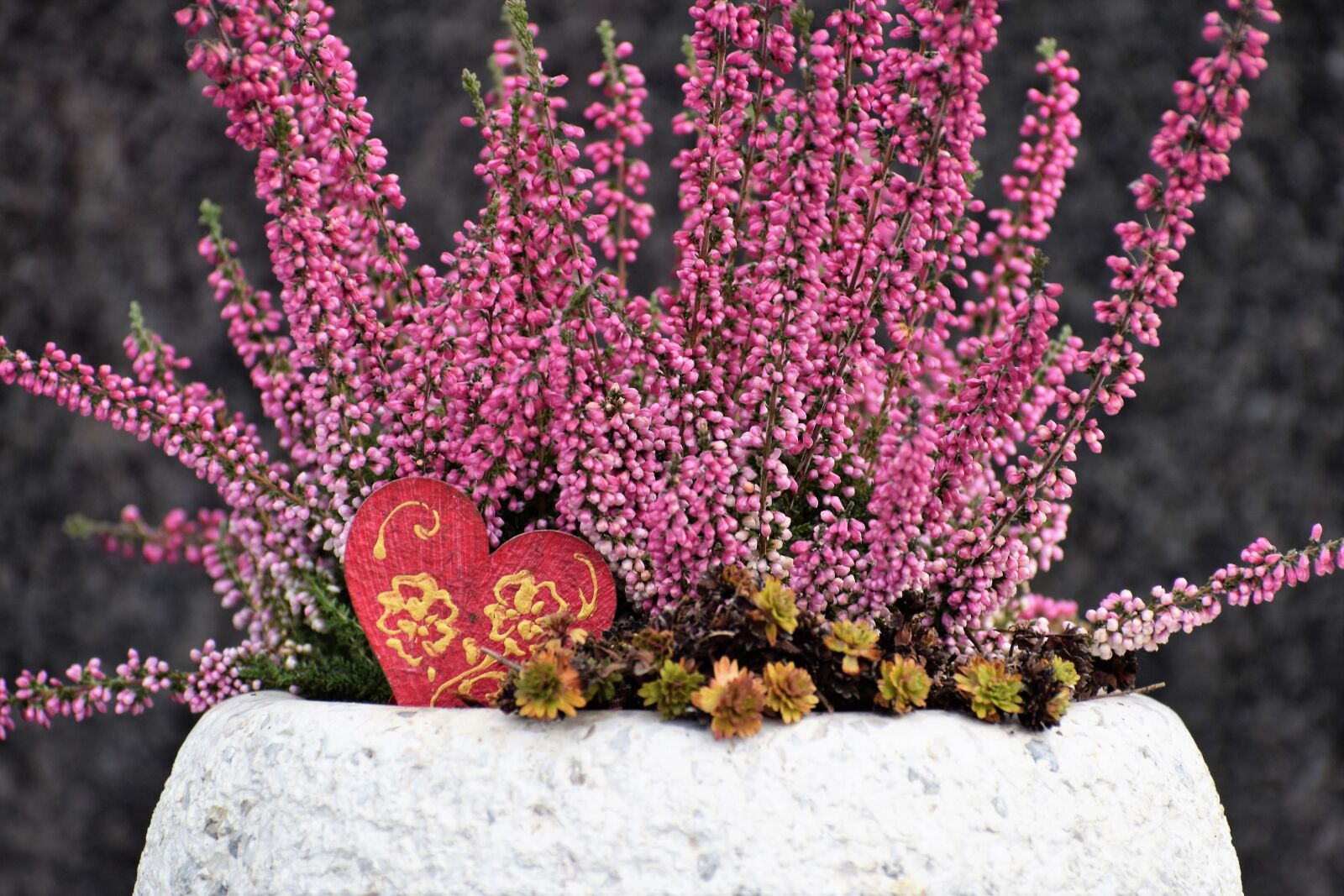 Nikon D3300 sample photo. Vase, flower, red heart photography