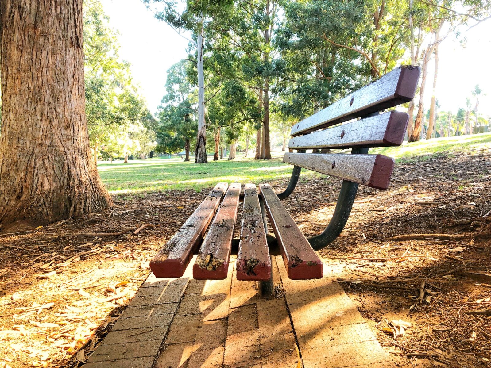 iPhone 8 back camera 3.99mm f/1.8 sample photo. Bench, outdoor, reserve photography
