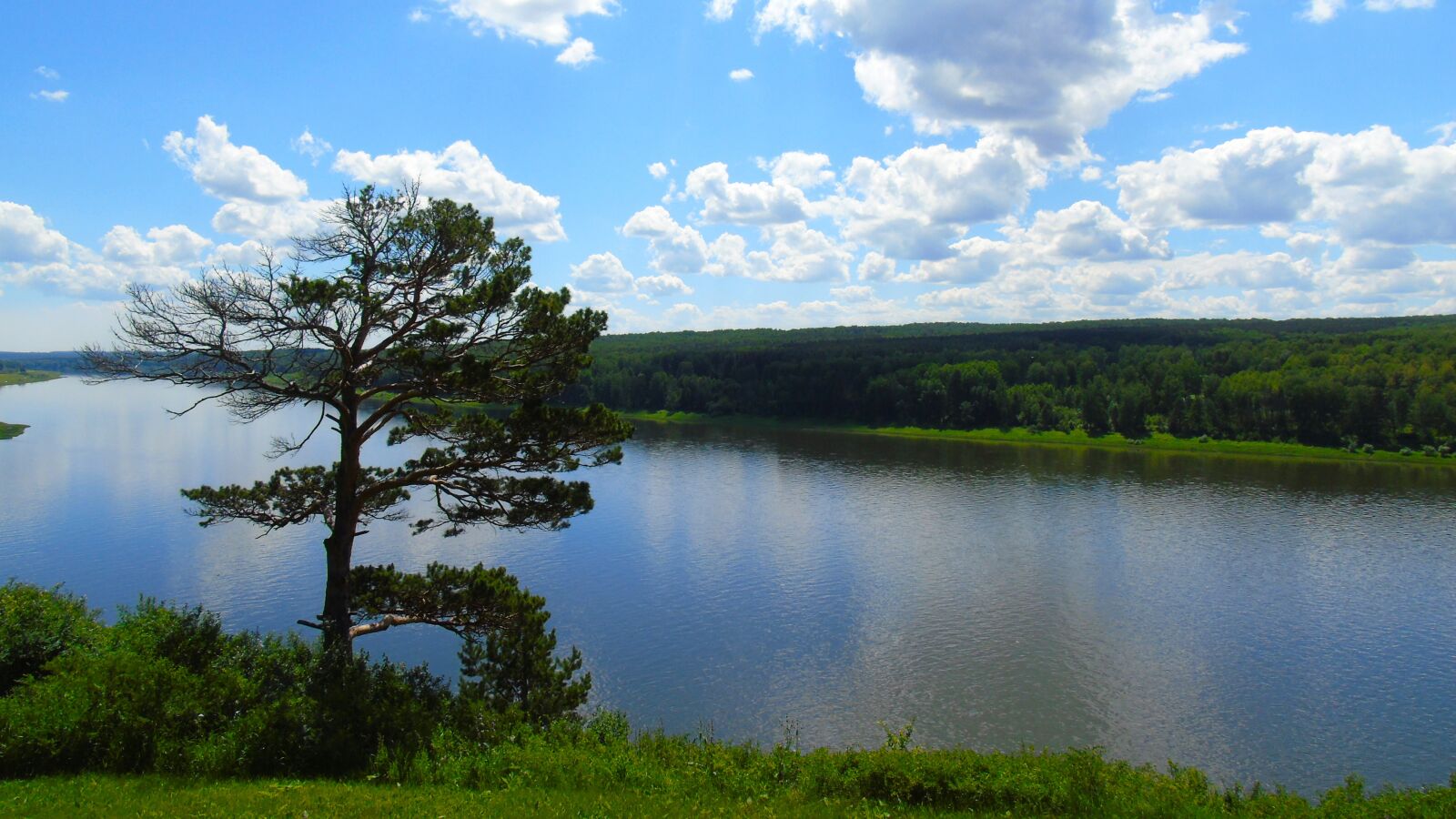 Sony Cyber-shot DSC-H400 sample photo. Nature, river, forest photography