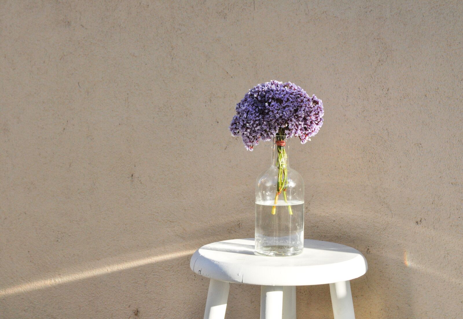 Nikon D5000 sample photo. Flowers, reflection, purple photography