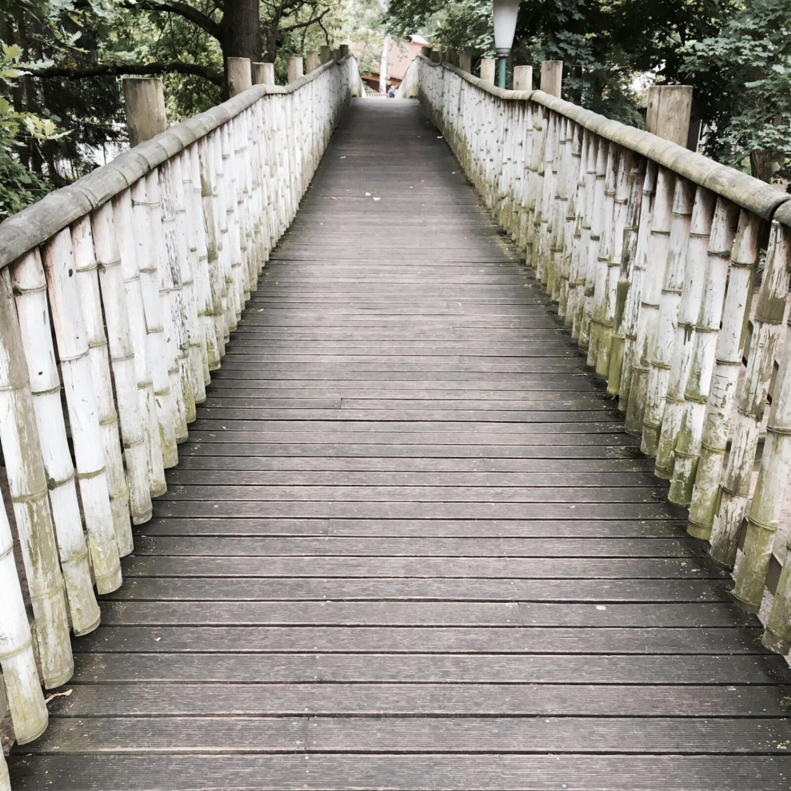 Apple iPhone 6s sample photo. Bridge, wood, wooden, beam photography