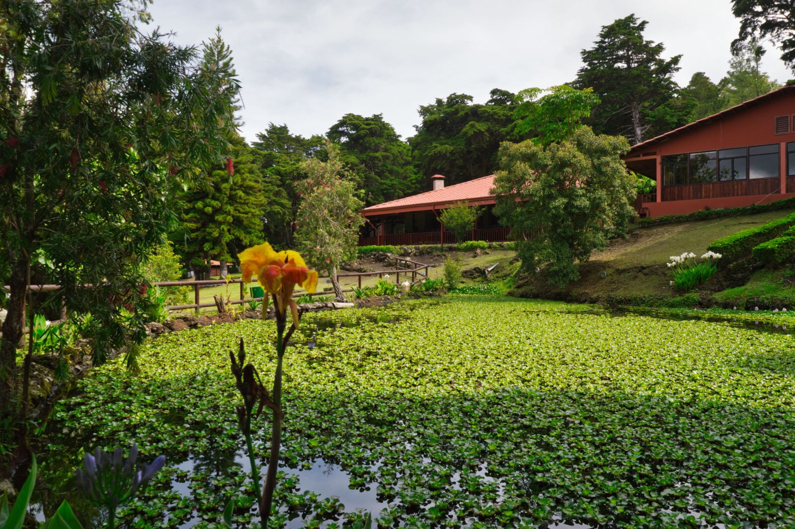 Nikon D3200 sample photo. Costa rica, pond, peace photography