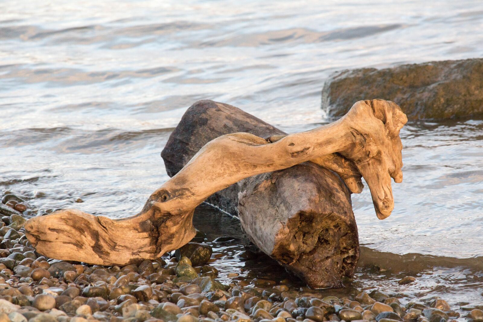 Canon EOS 700D (EOS Rebel T5i / EOS Kiss X7i) sample photo. Water, nature, sea photography