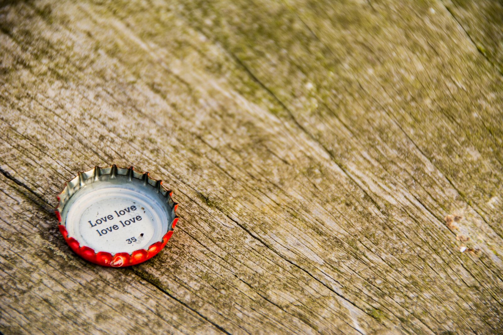 Nikon D7100 sample photo. Wooden, closeup, cap photography