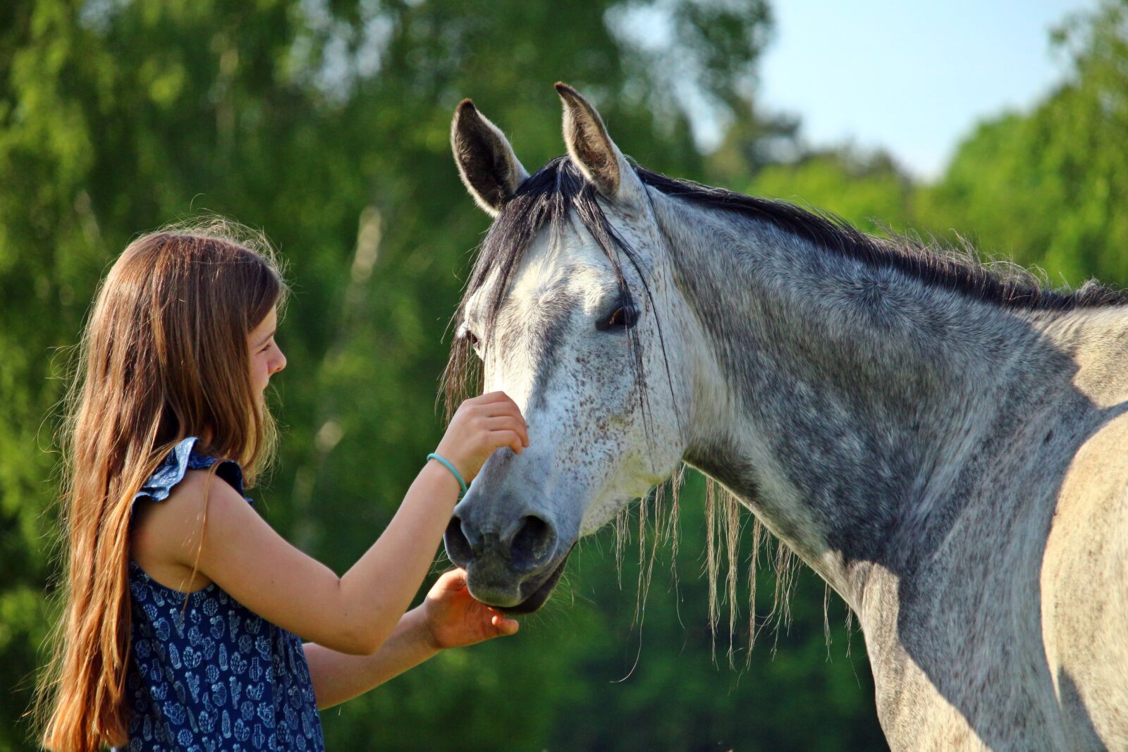 Canon EOS 100D (EOS Rebel SL1 / EOS Kiss X7) sample photo. Horse, girl, friends photography
