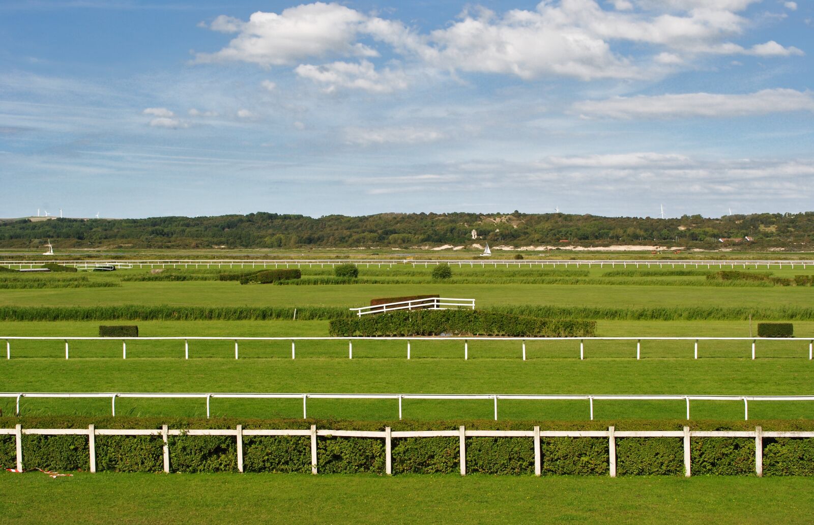 Nikon D3000 sample photo. Ipodrom, france, horses photography