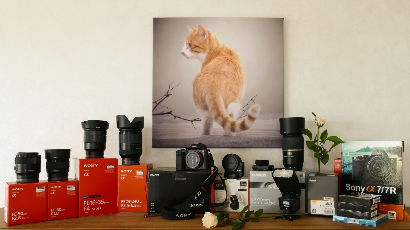 Panasonic Lumix DMC-FZ1000 sample photo. Passion photography, hobby, photo photography