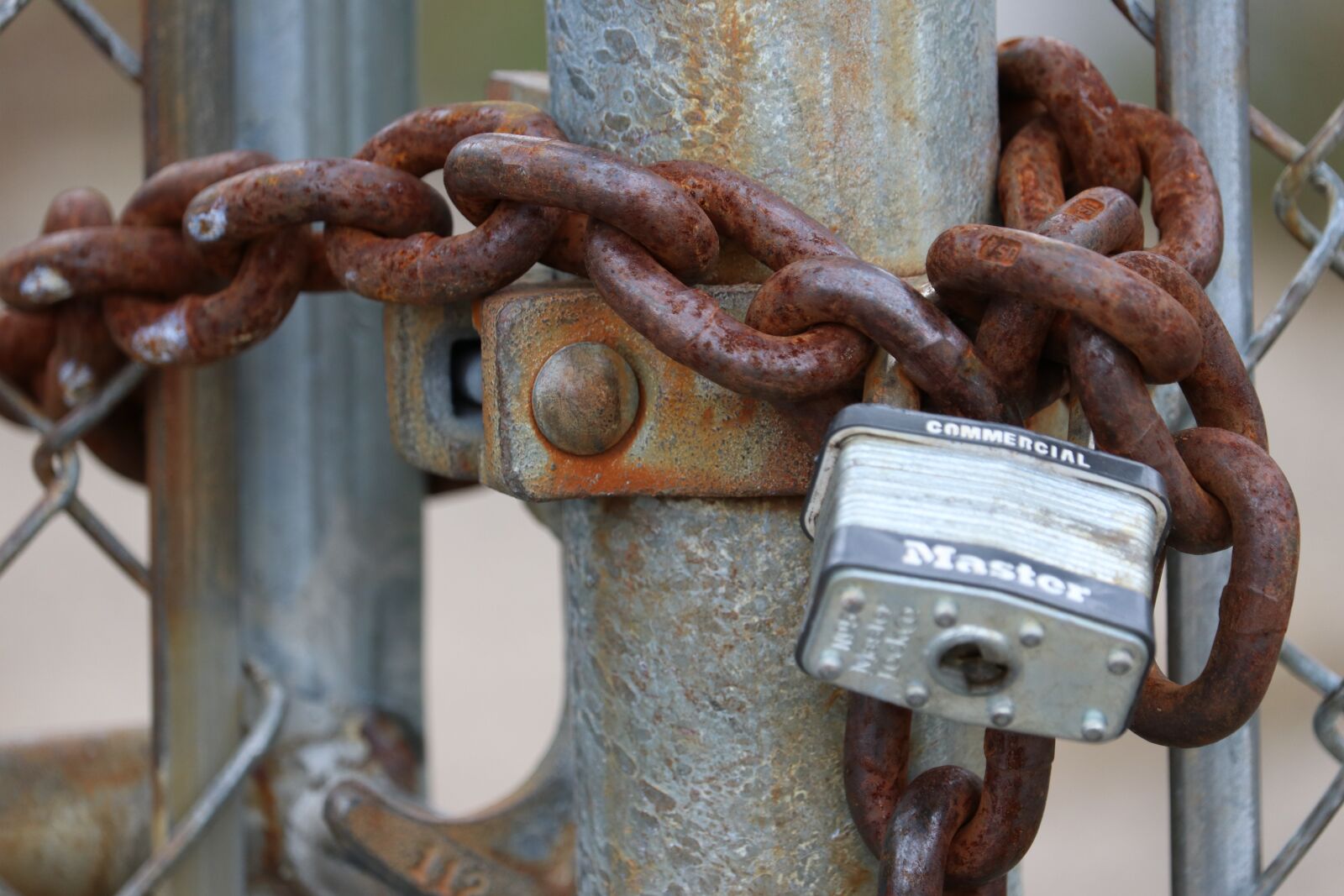 Canon EF-S 55-250mm F4-5.6 IS STM sample photo. Lock, key, chain photography