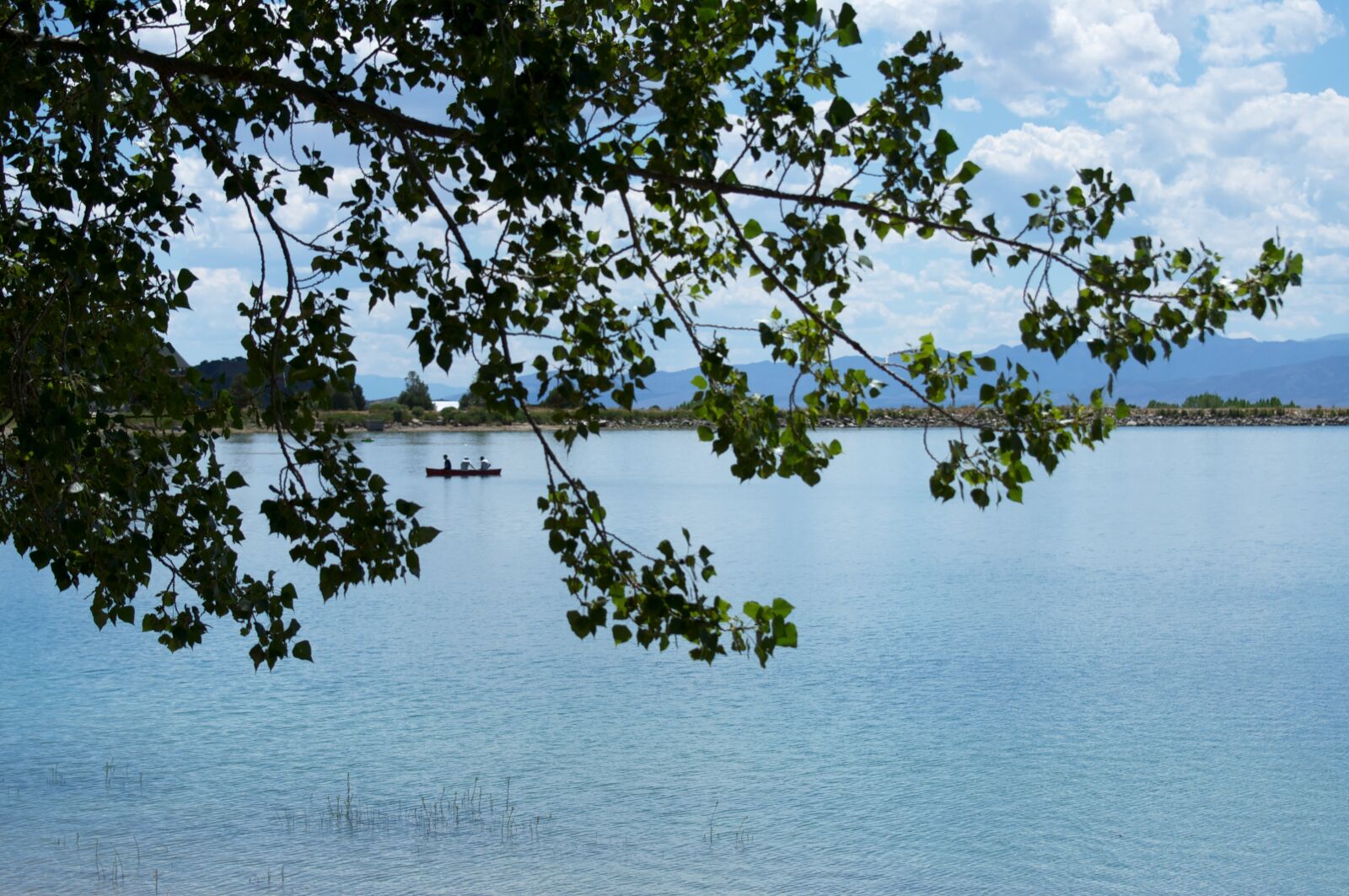 Nikon D90 sample photo. Lake, canoe, leaves photography