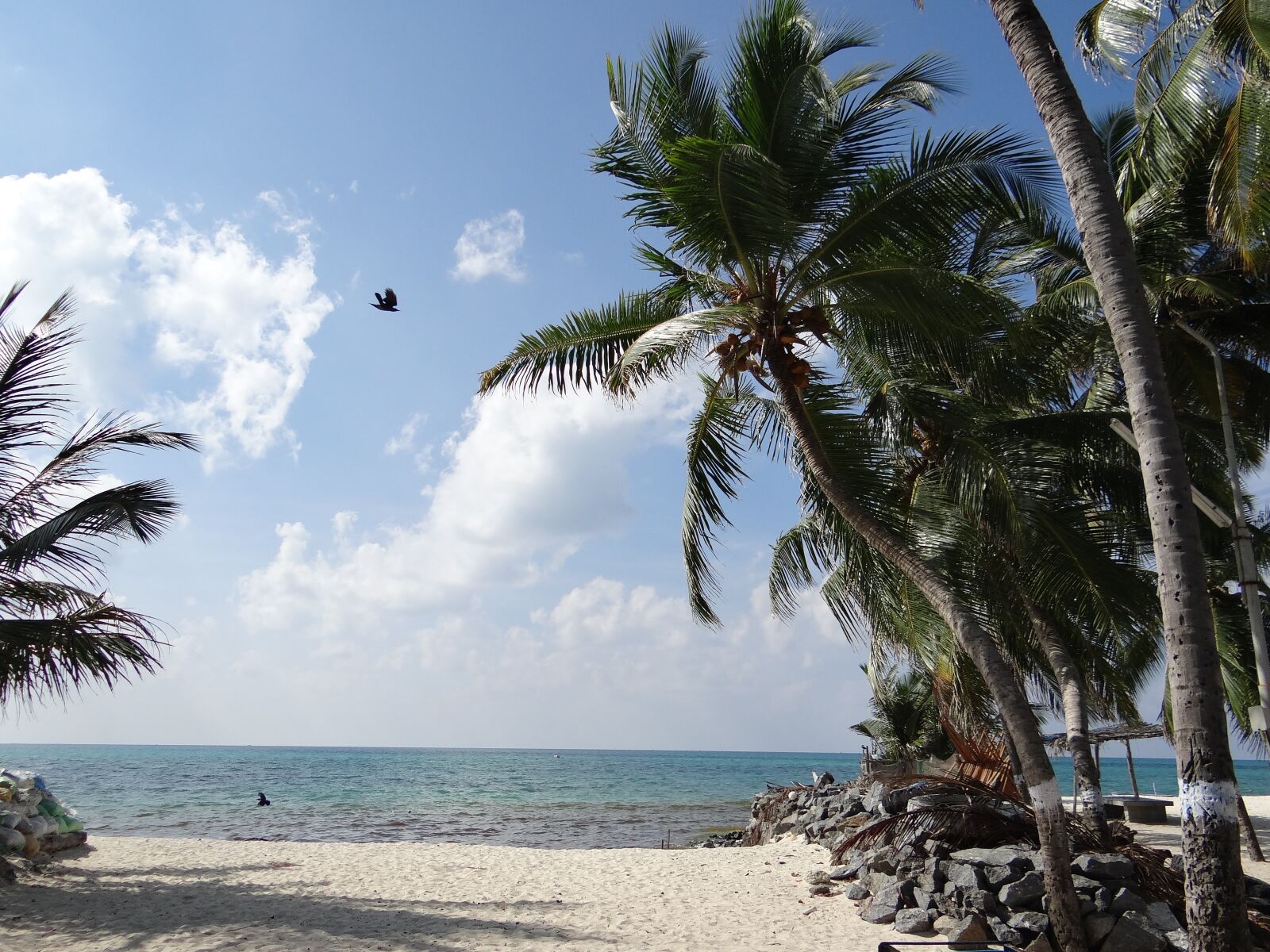 Sony DSC-HX200V sample photo. Nature, sea, sea beach photography