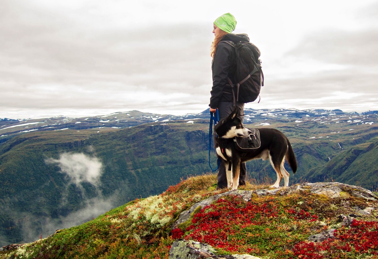 Nikon Coolpix P7800 sample photo. Dog, mountains, hiking photography