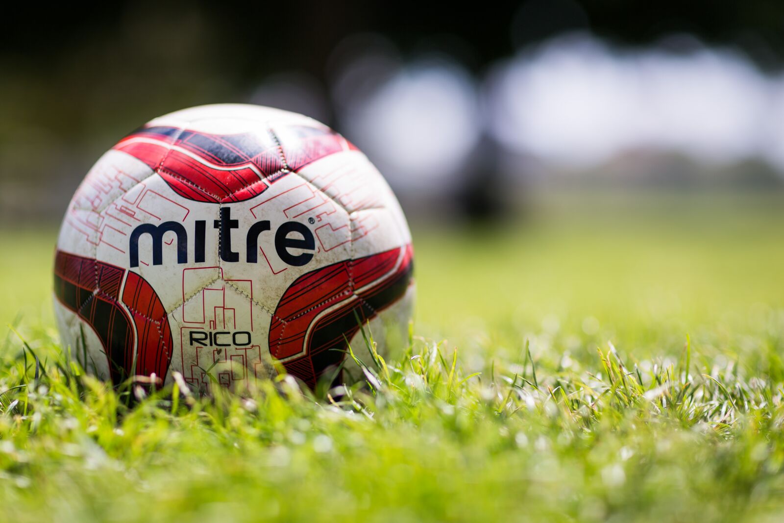 Canon EF 85mm F1.2L II USM sample photo. Ball, football, grass photography