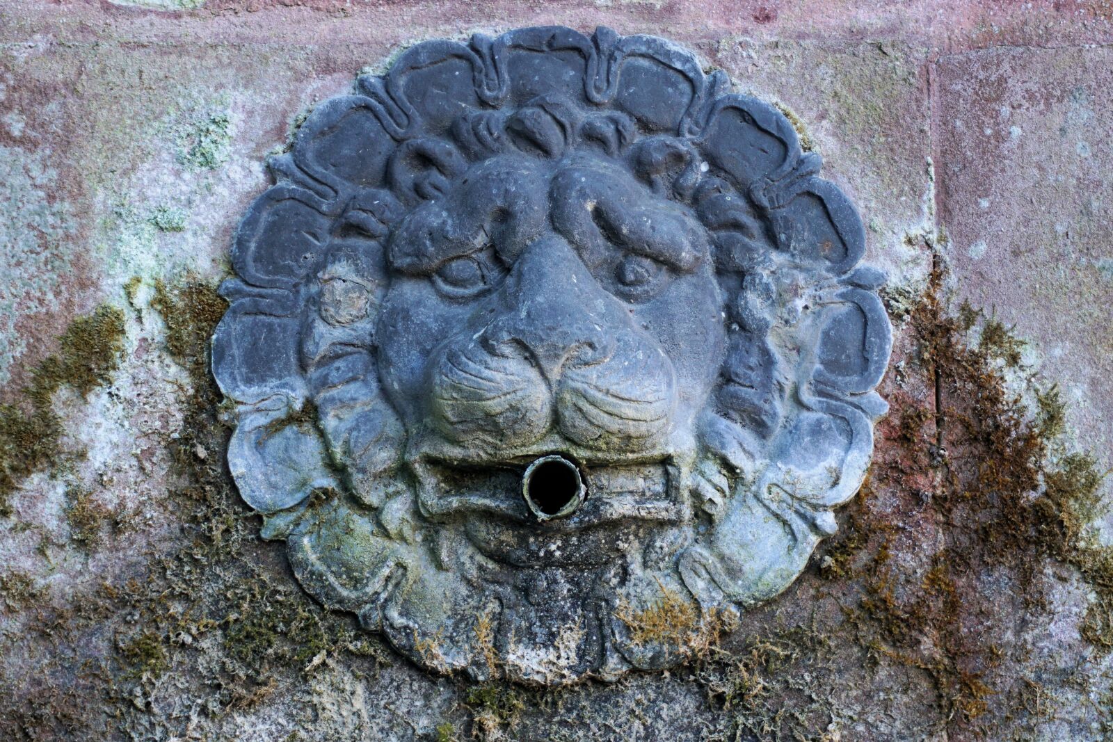 Sony a6000 sample photo. Fountain, water, lion photography