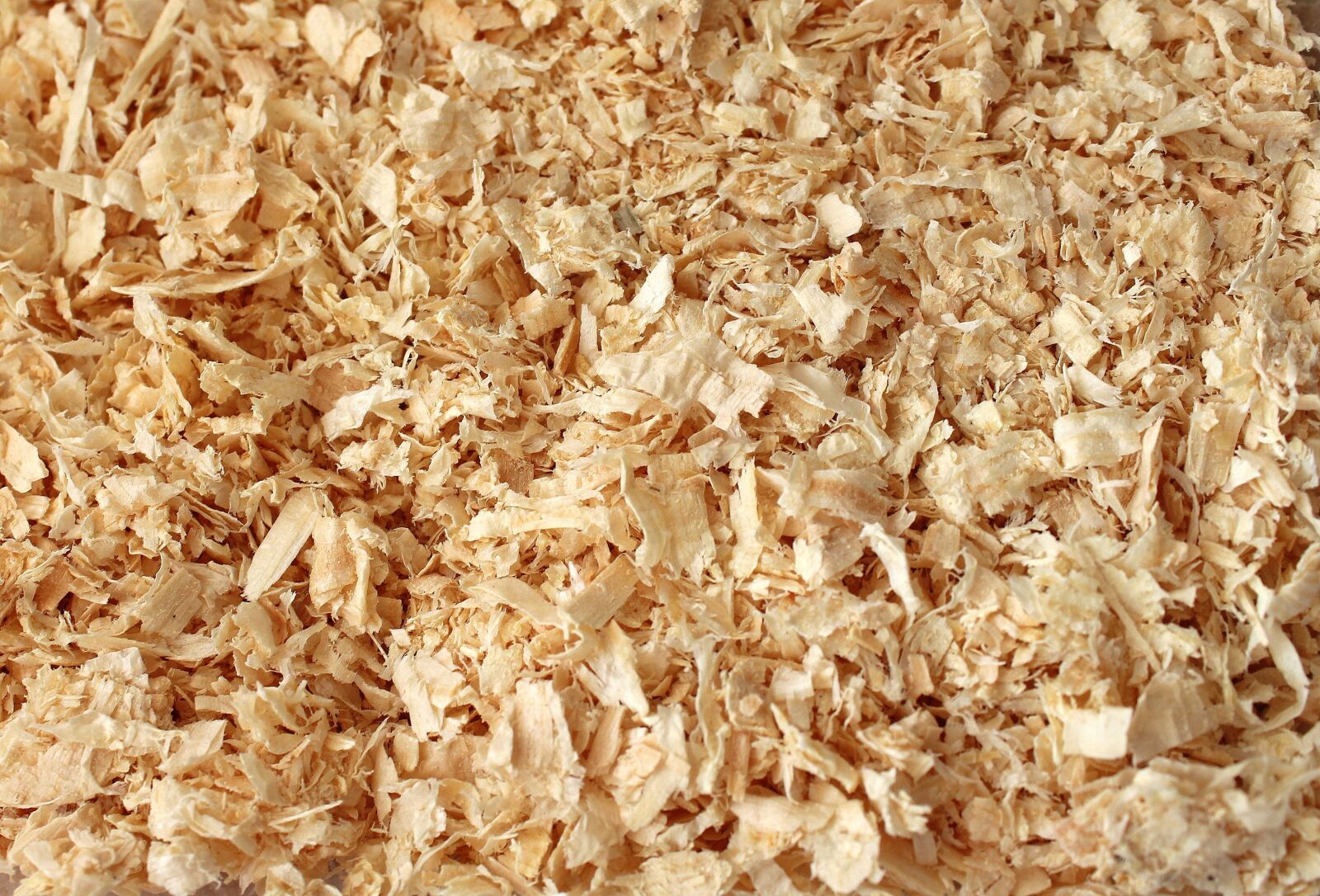Canon EOS 1200D (EOS Rebel T5 / EOS Kiss X70 / EOS Hi) sample photo. Sawdust, wood, waste photography