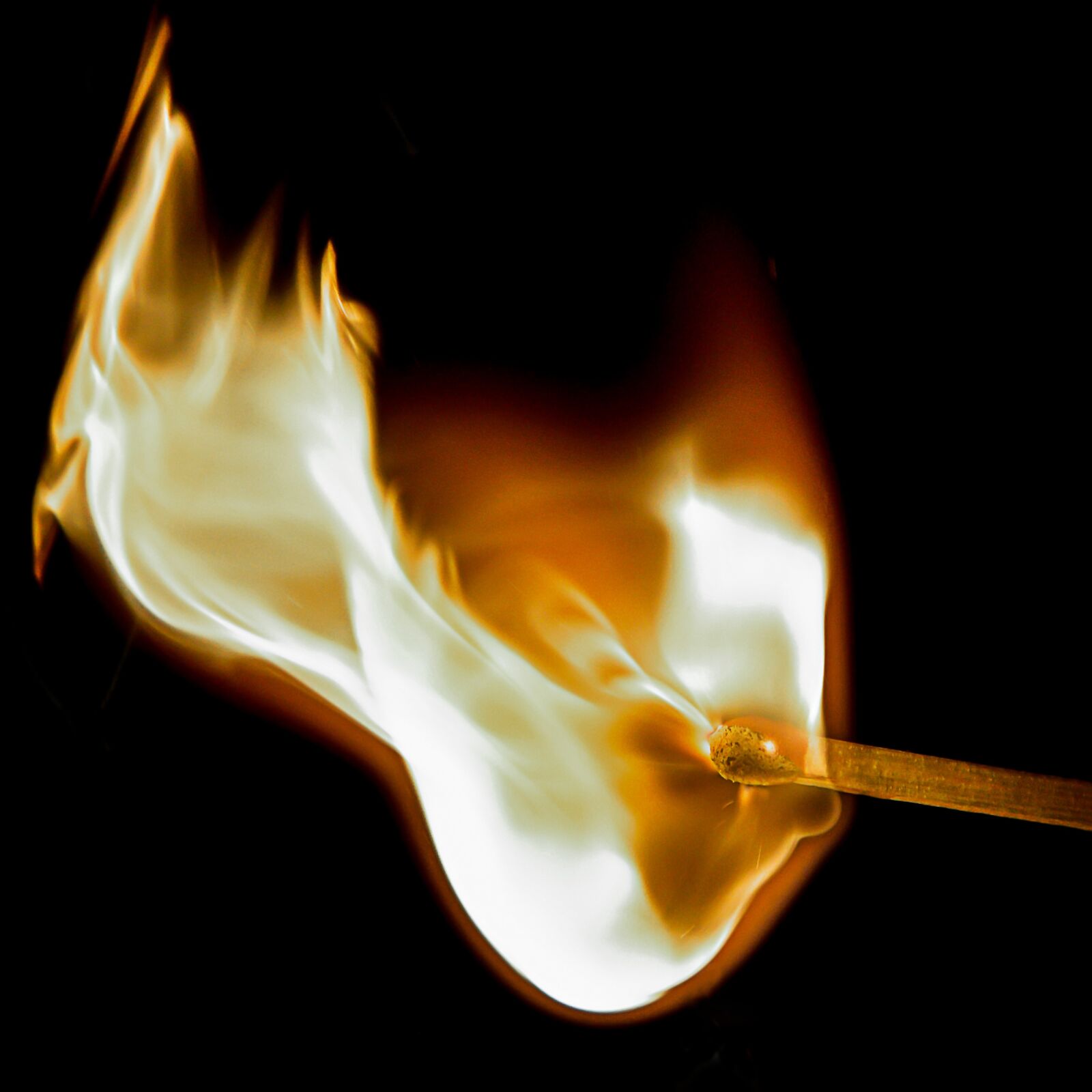 Nikon D500 sample photo. Match, ignition, flame photography