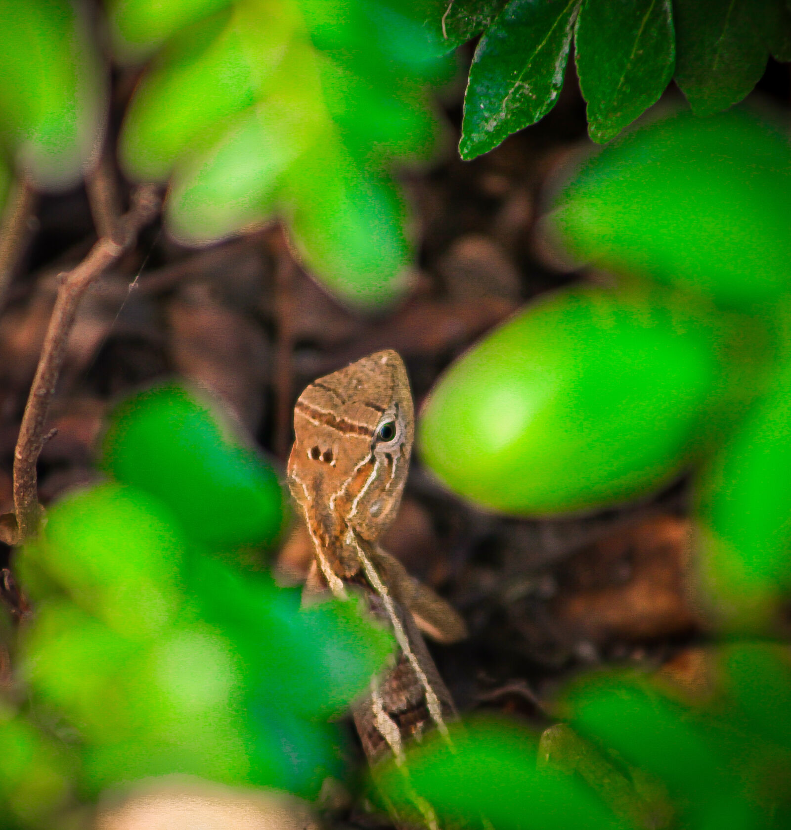 Canon EOS 5D Mark II sample photo