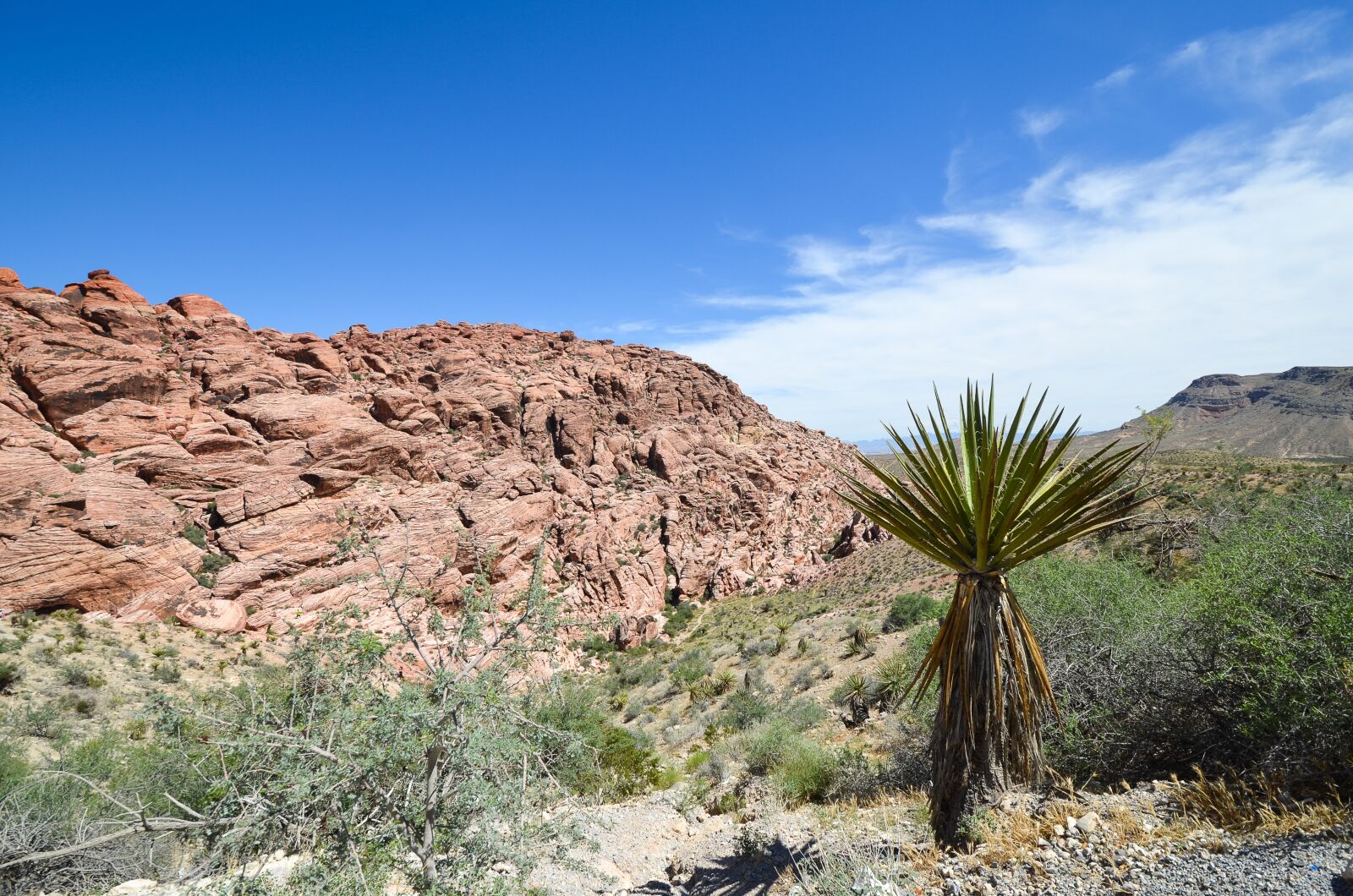 Nikon D5100 sample photo. Usa, america, nevada photography