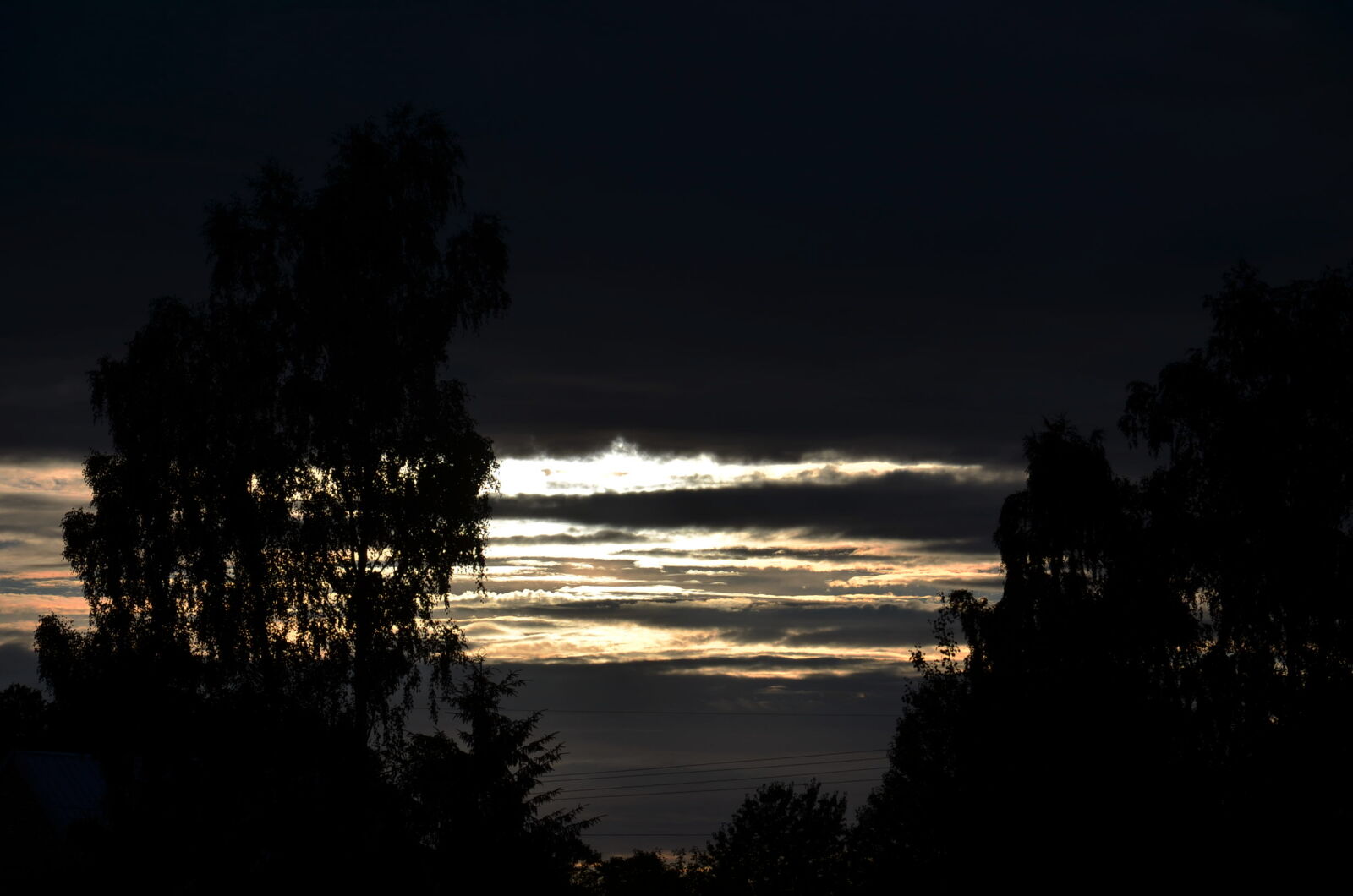 Nikon D5100 sample photo