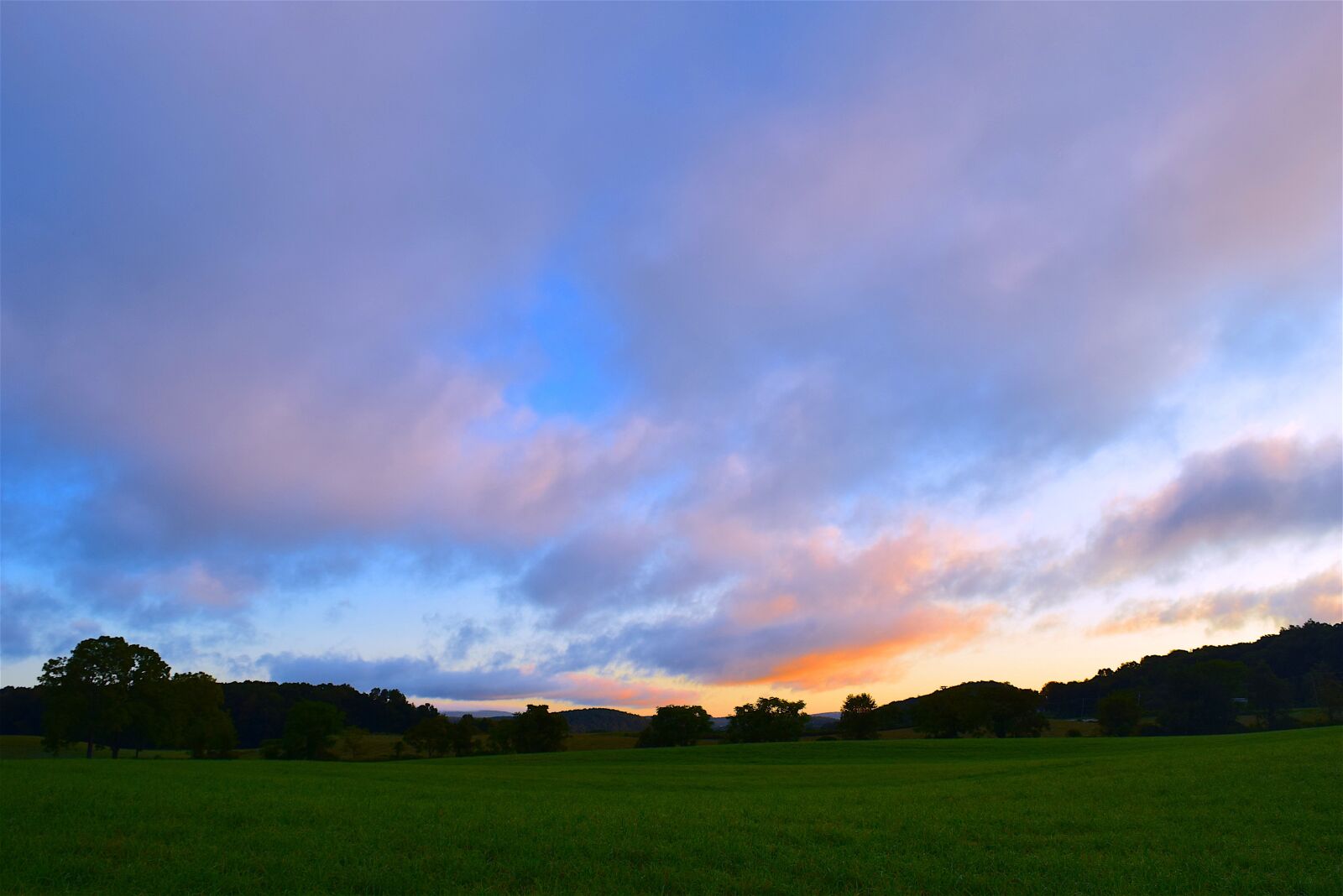 Nikon D3300 sample photo. Field, sunrise, green photography