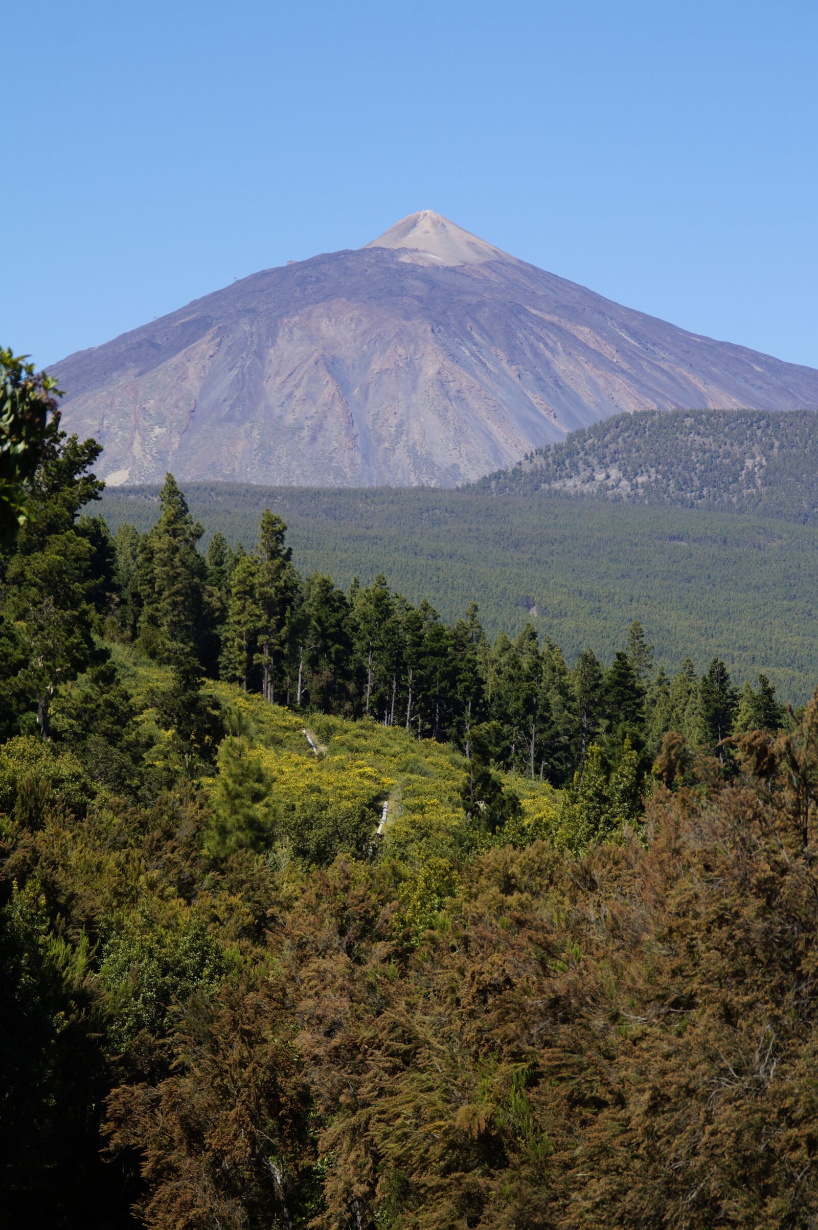 Sony SLT-A58 sample photo. Teide, tenerife, volcano photography