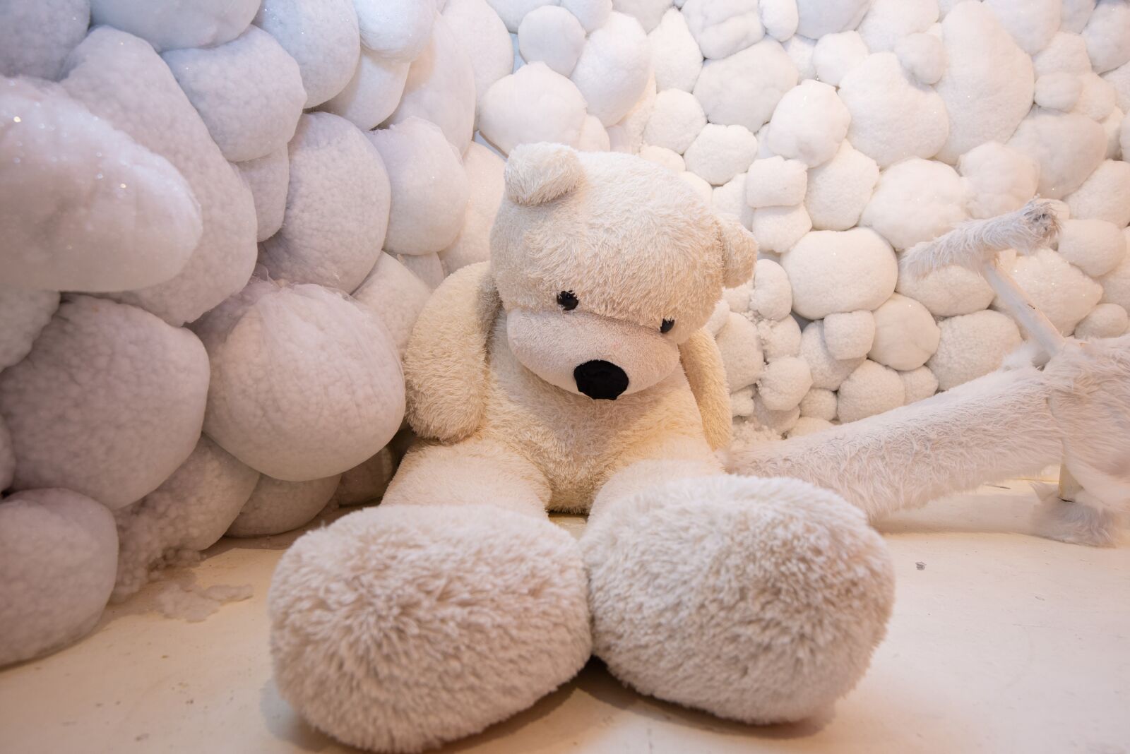 Nikon D800 sample photo. Bear, toy, cute photography