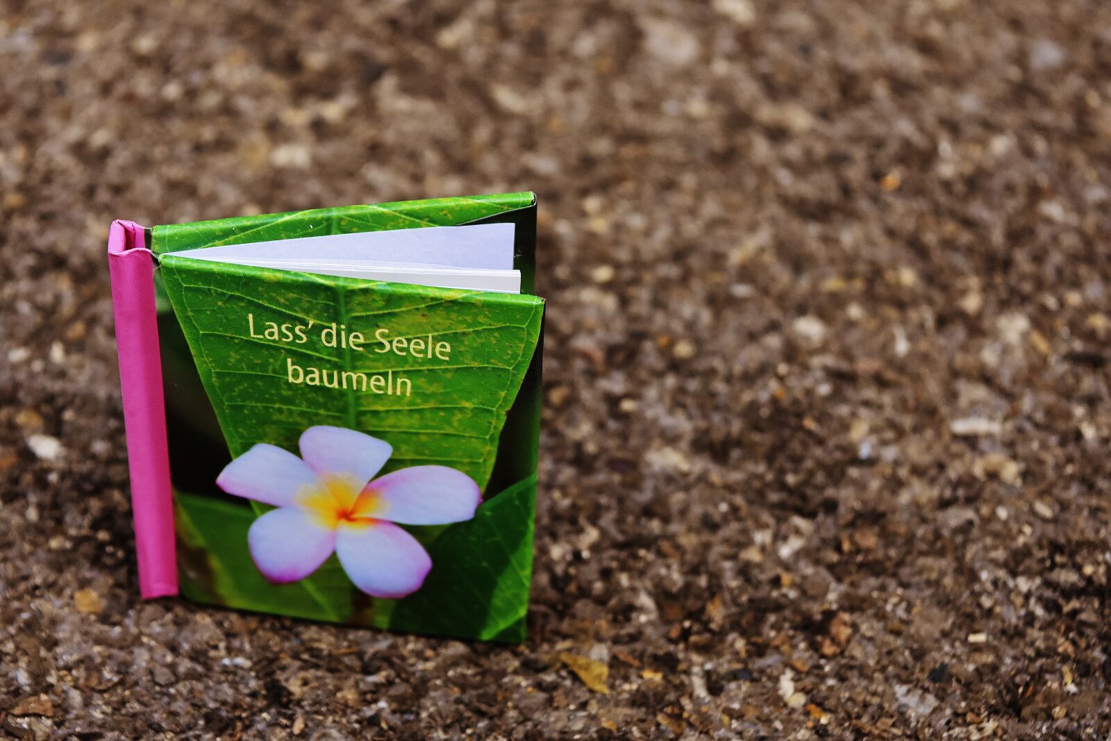 Nikon D7200 sample photo. Book, greeting card, relax photography