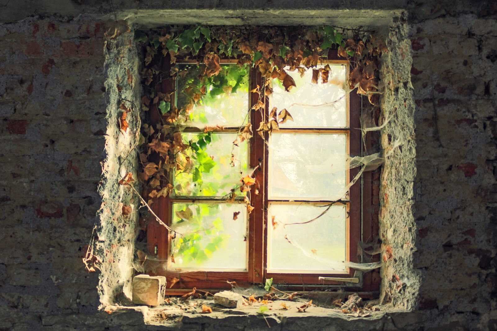 Canon EOS 70D sample photo. Window, masonry, antique photography