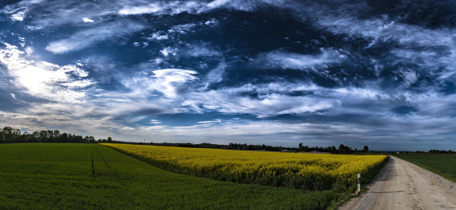Sigma 30mm F2.8 EX DN sample photo. Panorama, field of rapeseeds photography