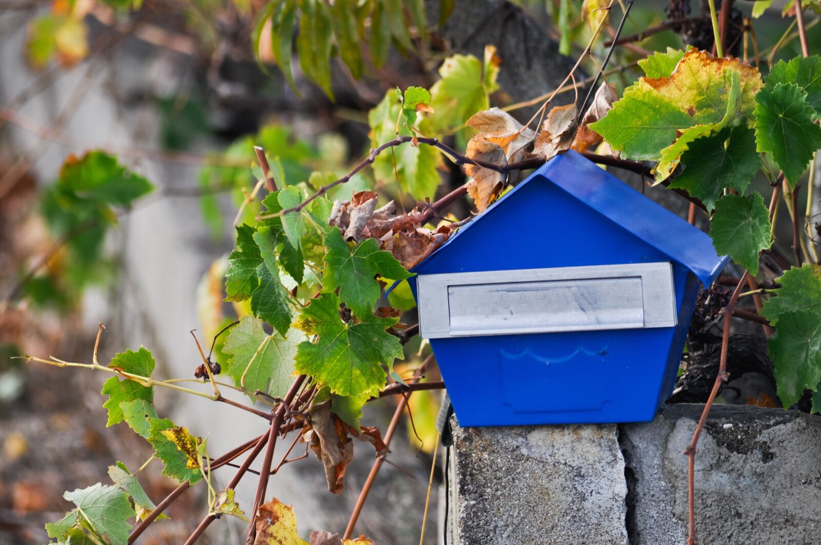 Nikon D90 sample photo. Blue, letter box, contrast photography