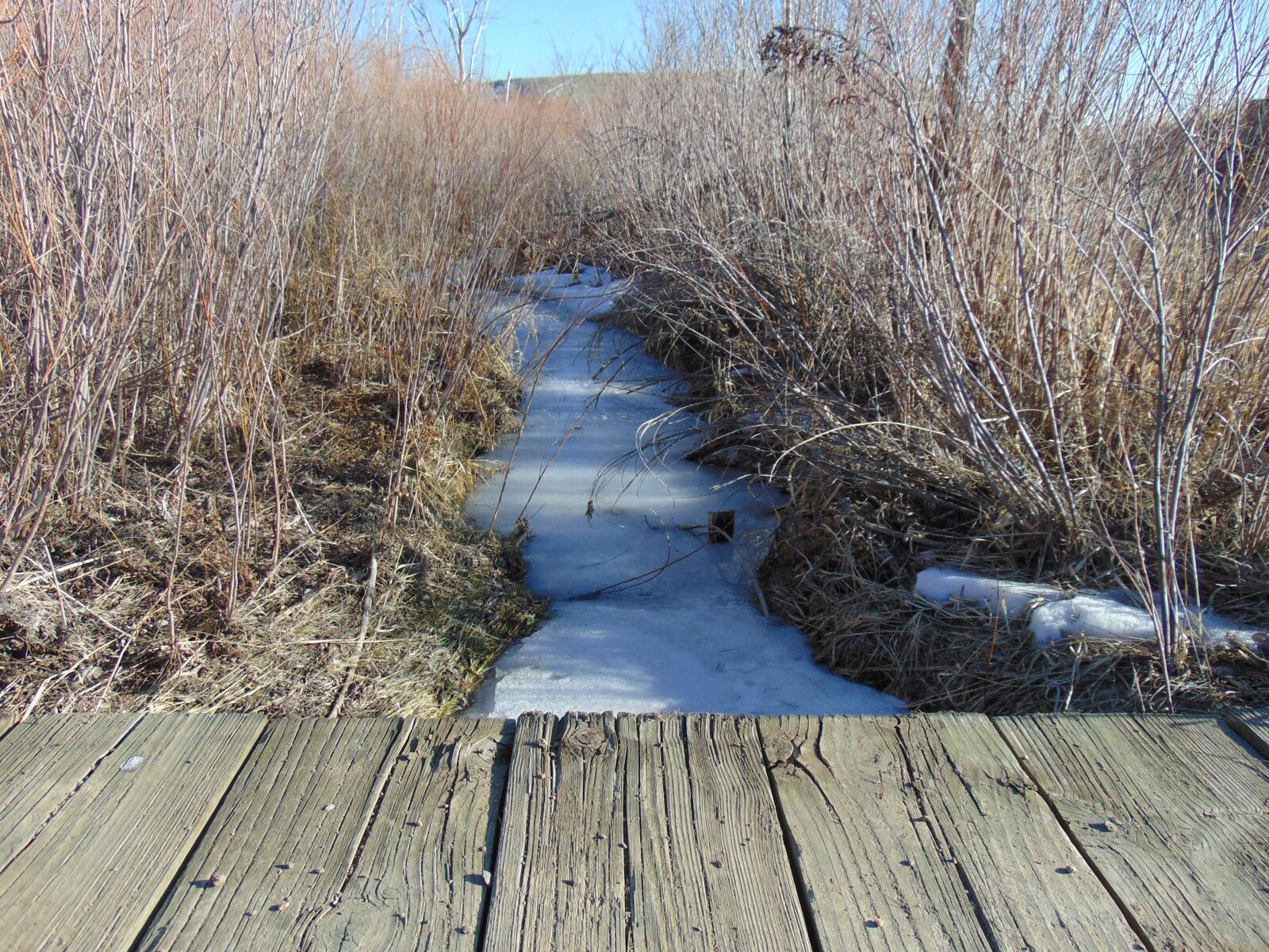 Sony Cyber-shot DSC-H300 sample photo. Bridge, water, snow photography