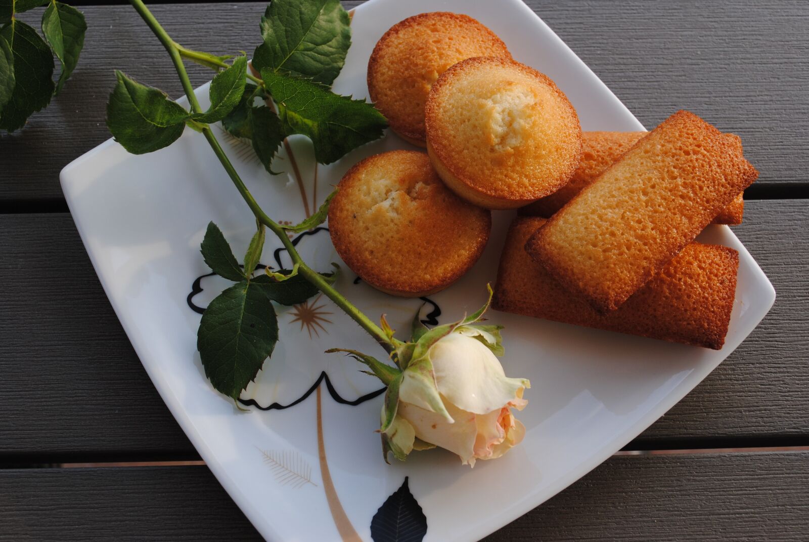 Nikon D3000 sample photo. Financial, cake, dessert photography