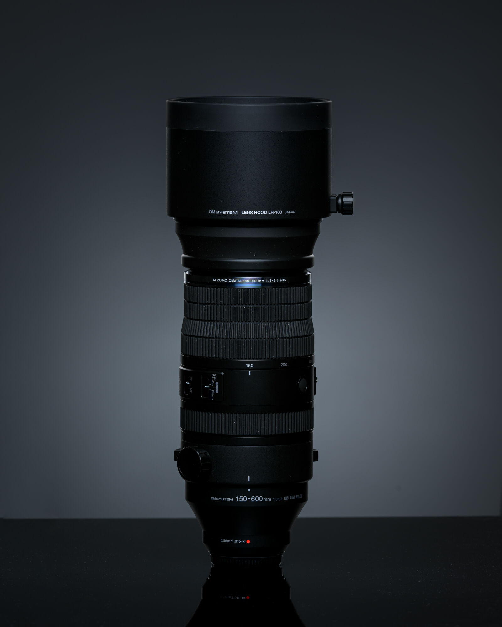 Nikon AF-S Nikkor 200-400mm F4G ED-IF VR sample photo. Om system m.zuiko digital photography