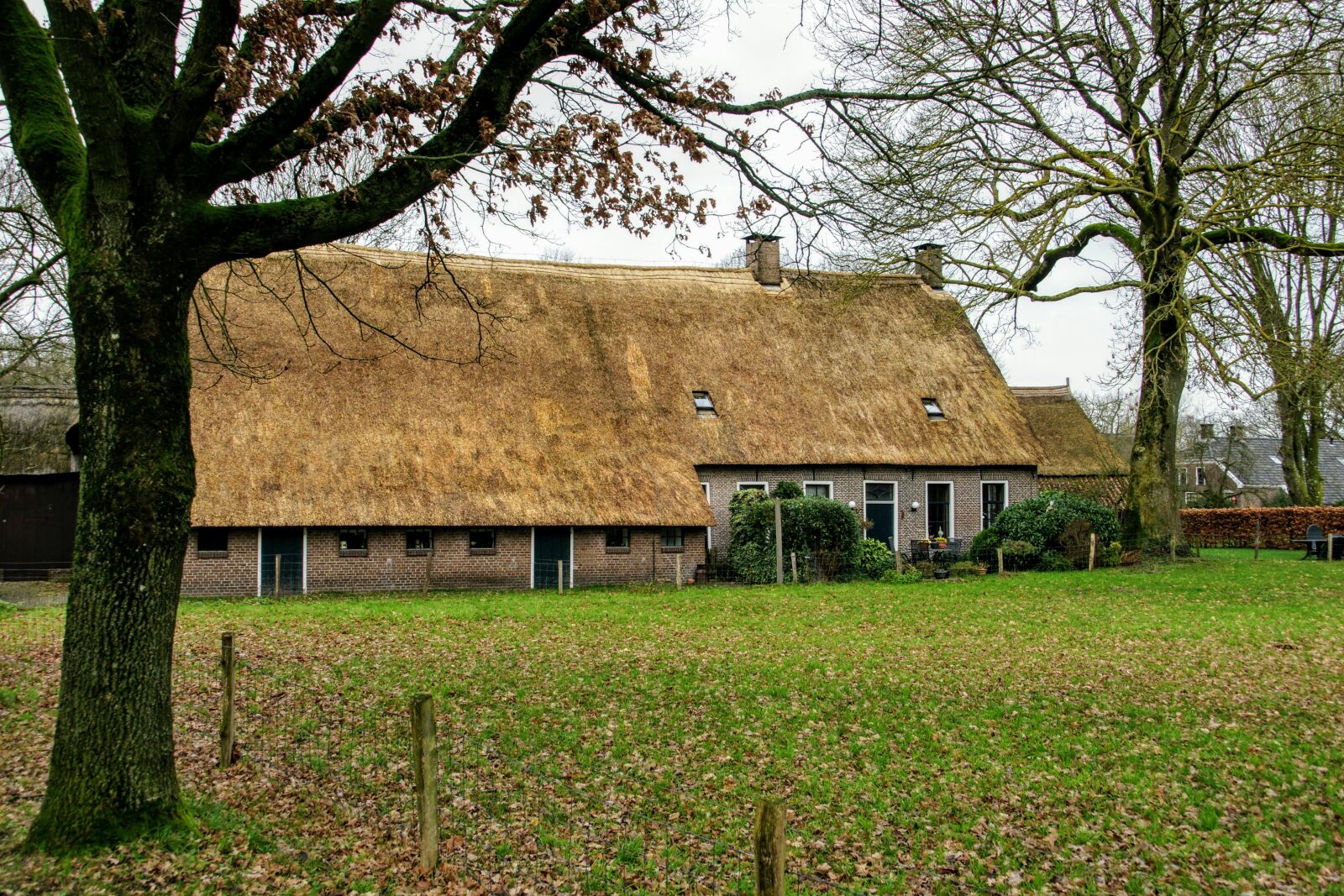 Sony Alpha DSLR-A700 sample photo. Farm, orvelte, drenthe photography