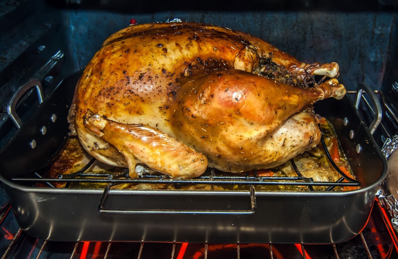 Nikon D200 sample photo. Bird, celebratory, cooked, cooking photography