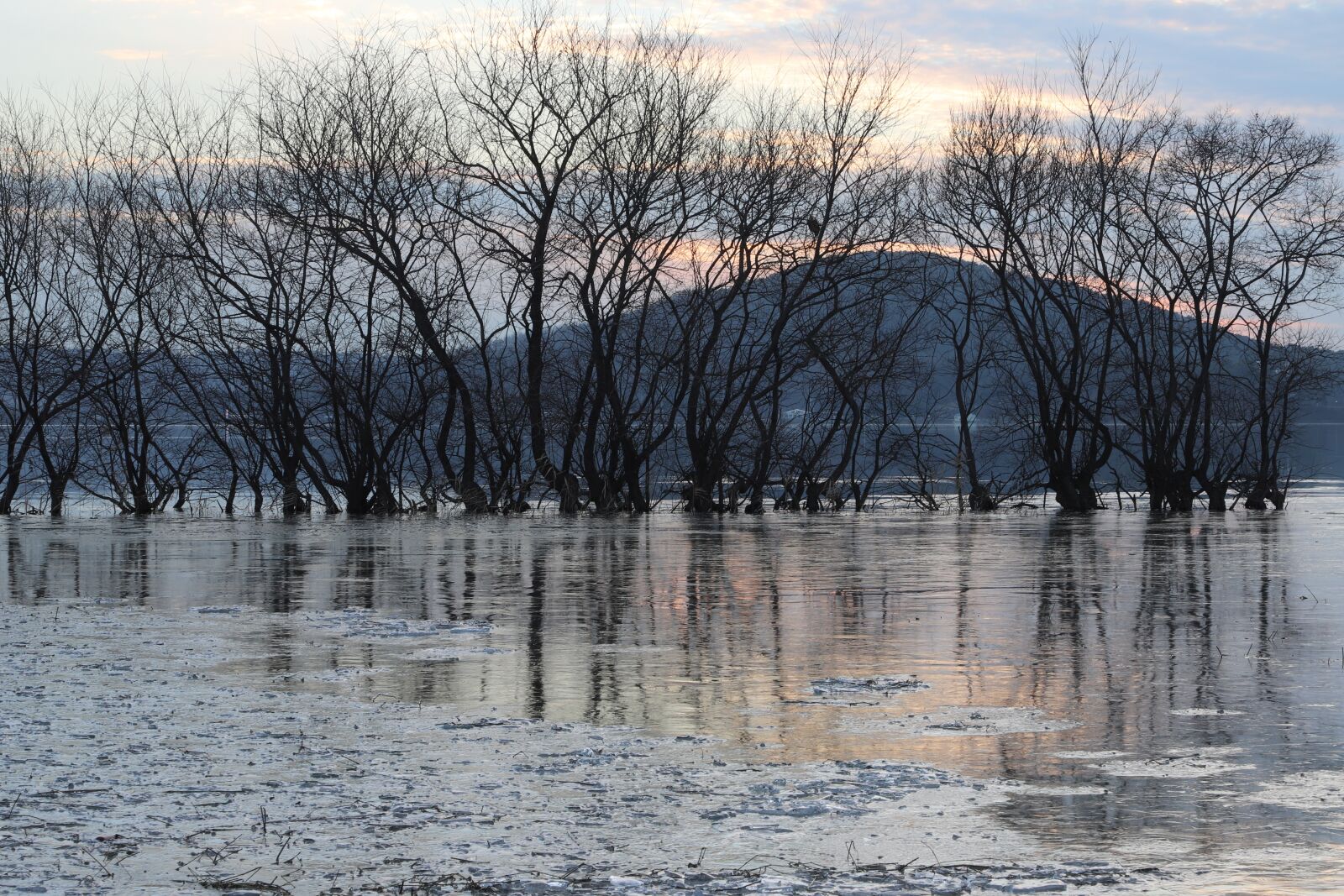 Canon EF 24-105mm F4L IS II USM sample photo. Winter tree, ice lake photography