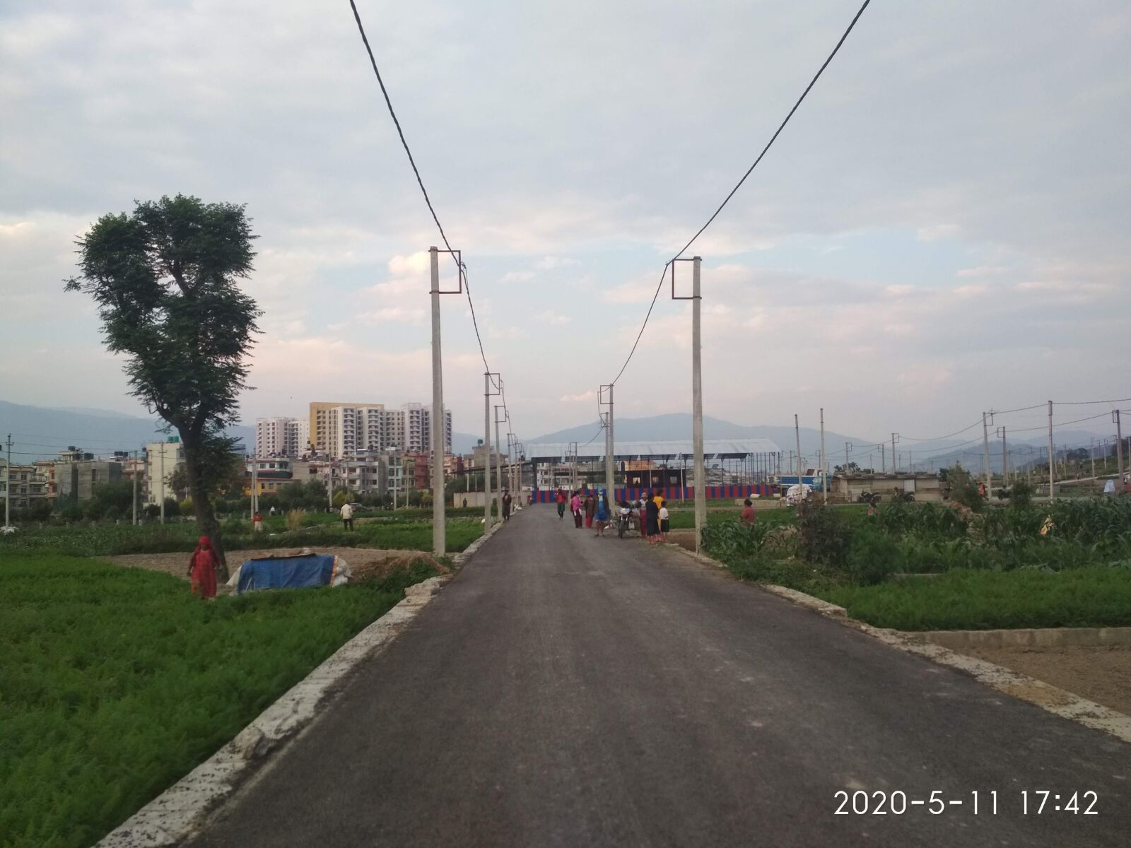 Xiaomi Redmi 4X sample photo. Road, electric wire, tree photography