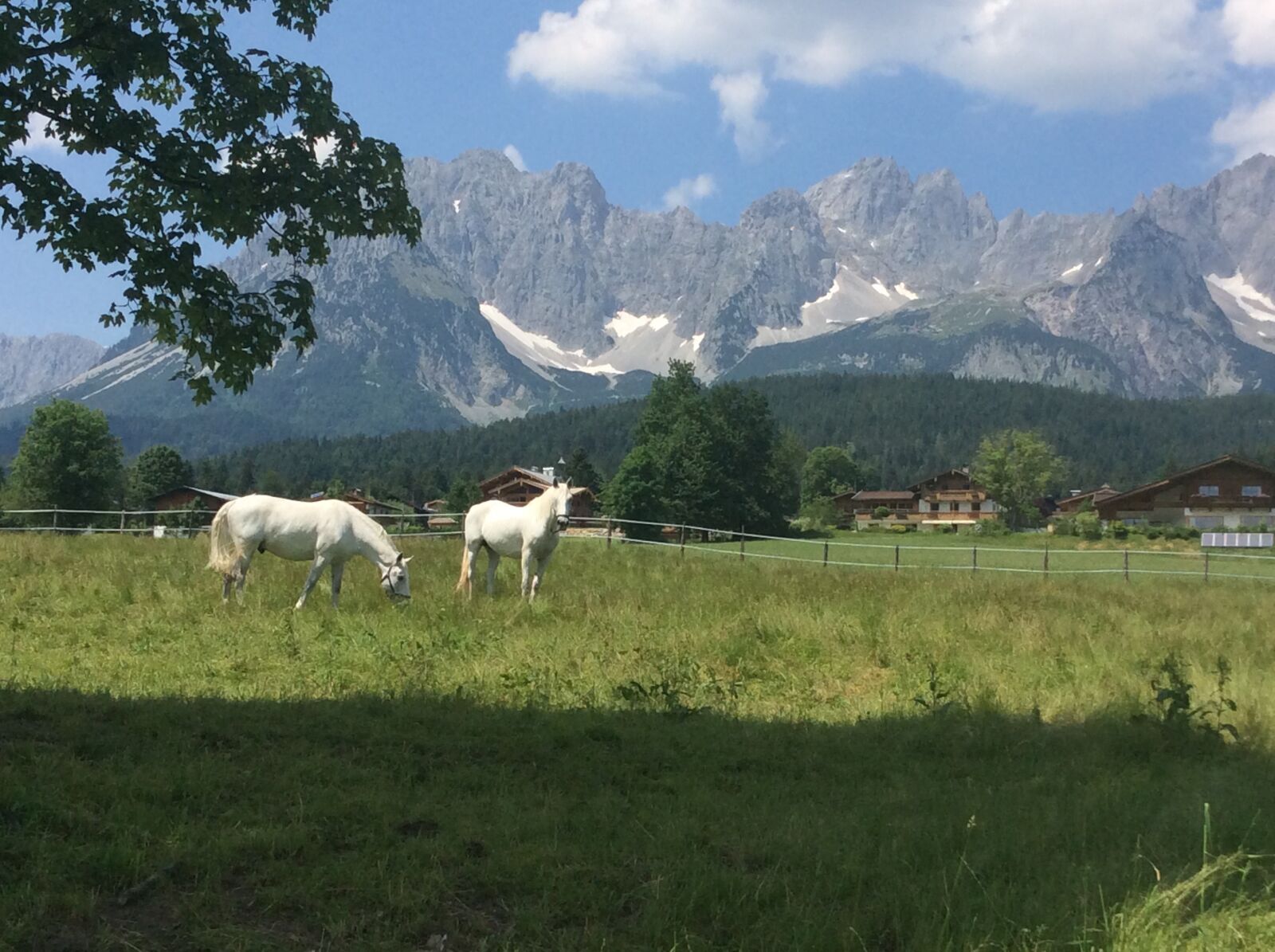 Apple iPad Air sample photo. Horses, mountains, nature photography