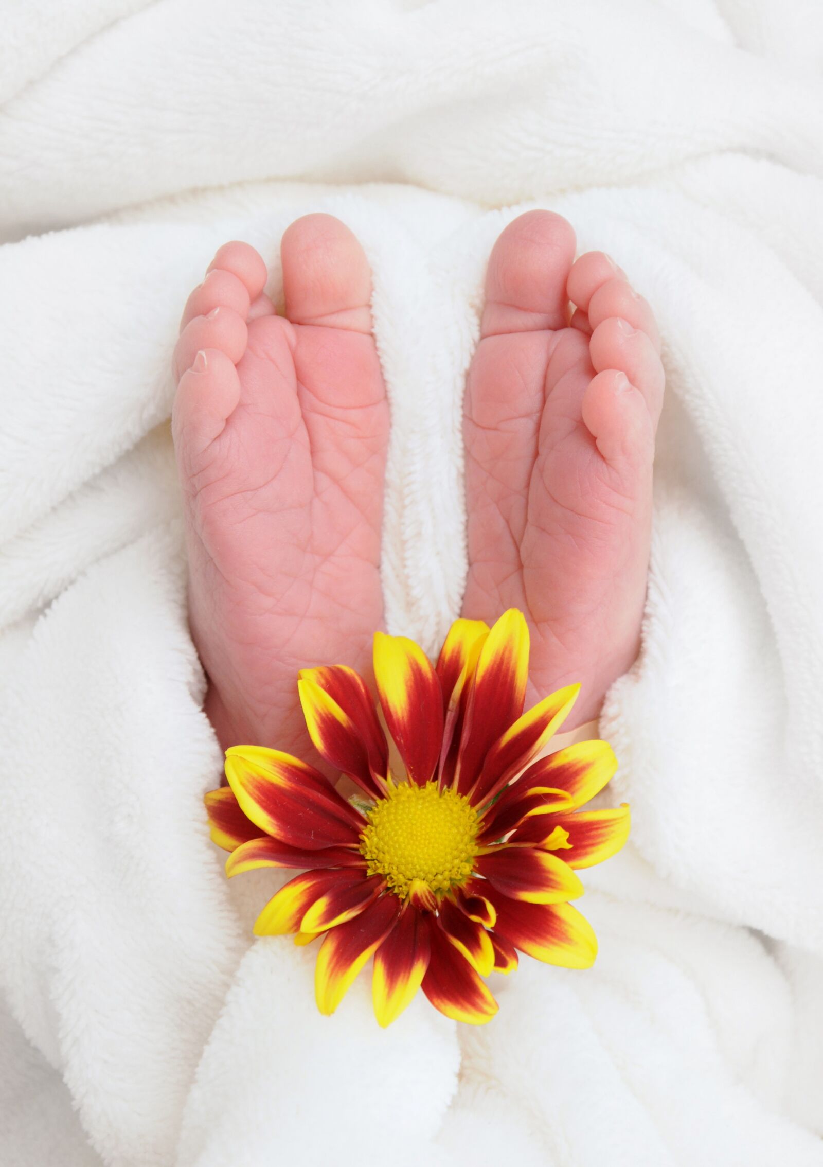 Nikon D90 sample photo. Baby, feet, flower photography