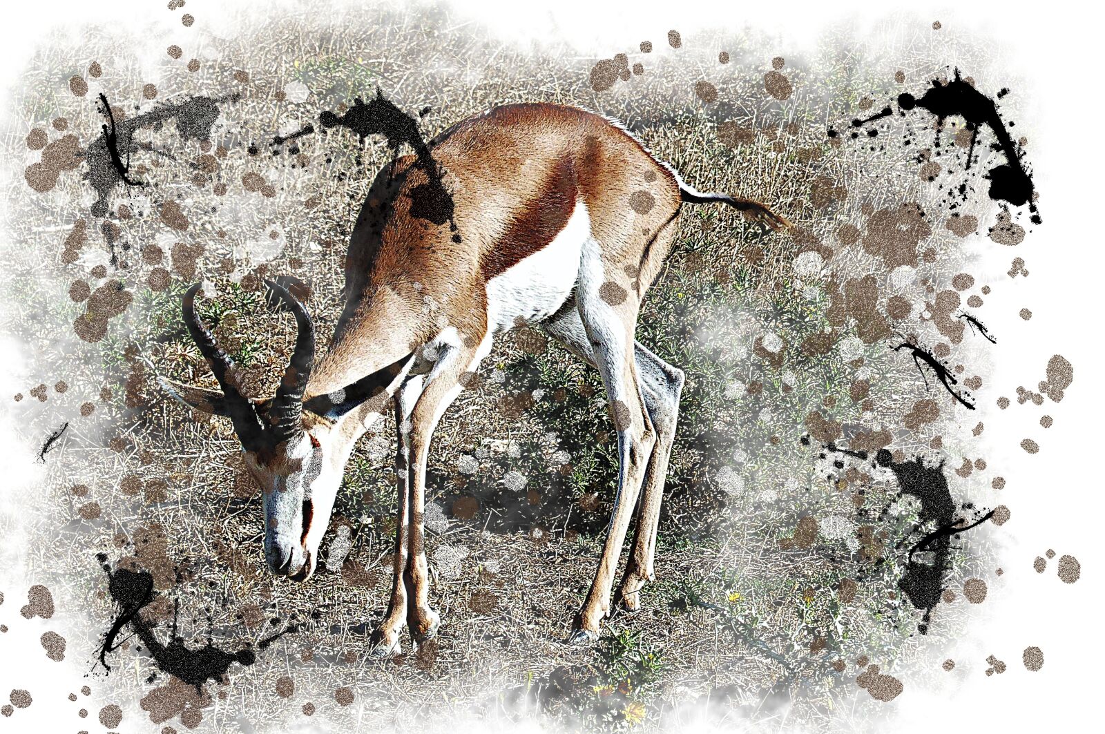 Panasonic Lumix DMC-FZ200 sample photo. Antelope, watercolor, picture photography